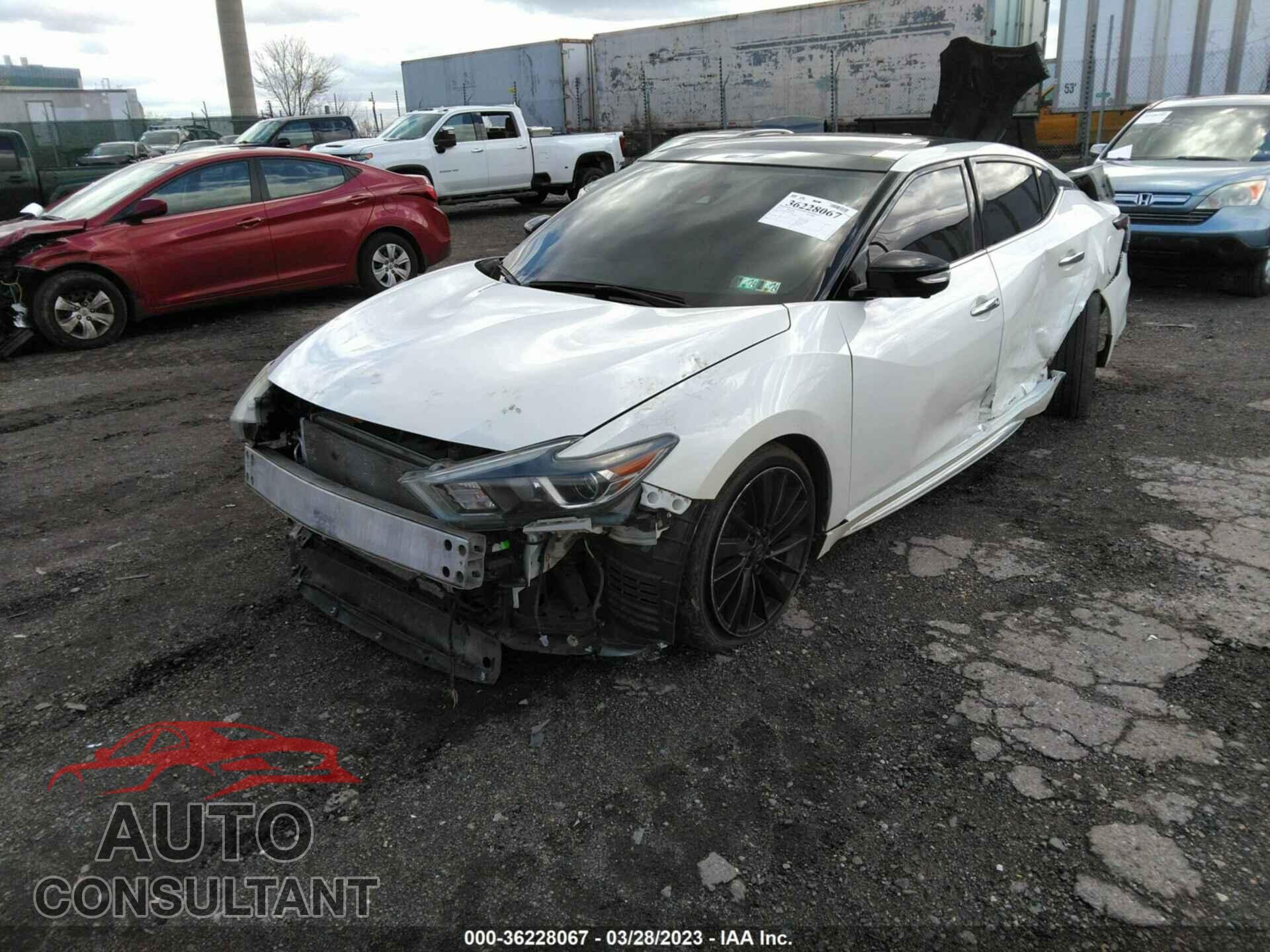NISSAN MAXIMA 2019 - 1N4AA6AV2KC368024