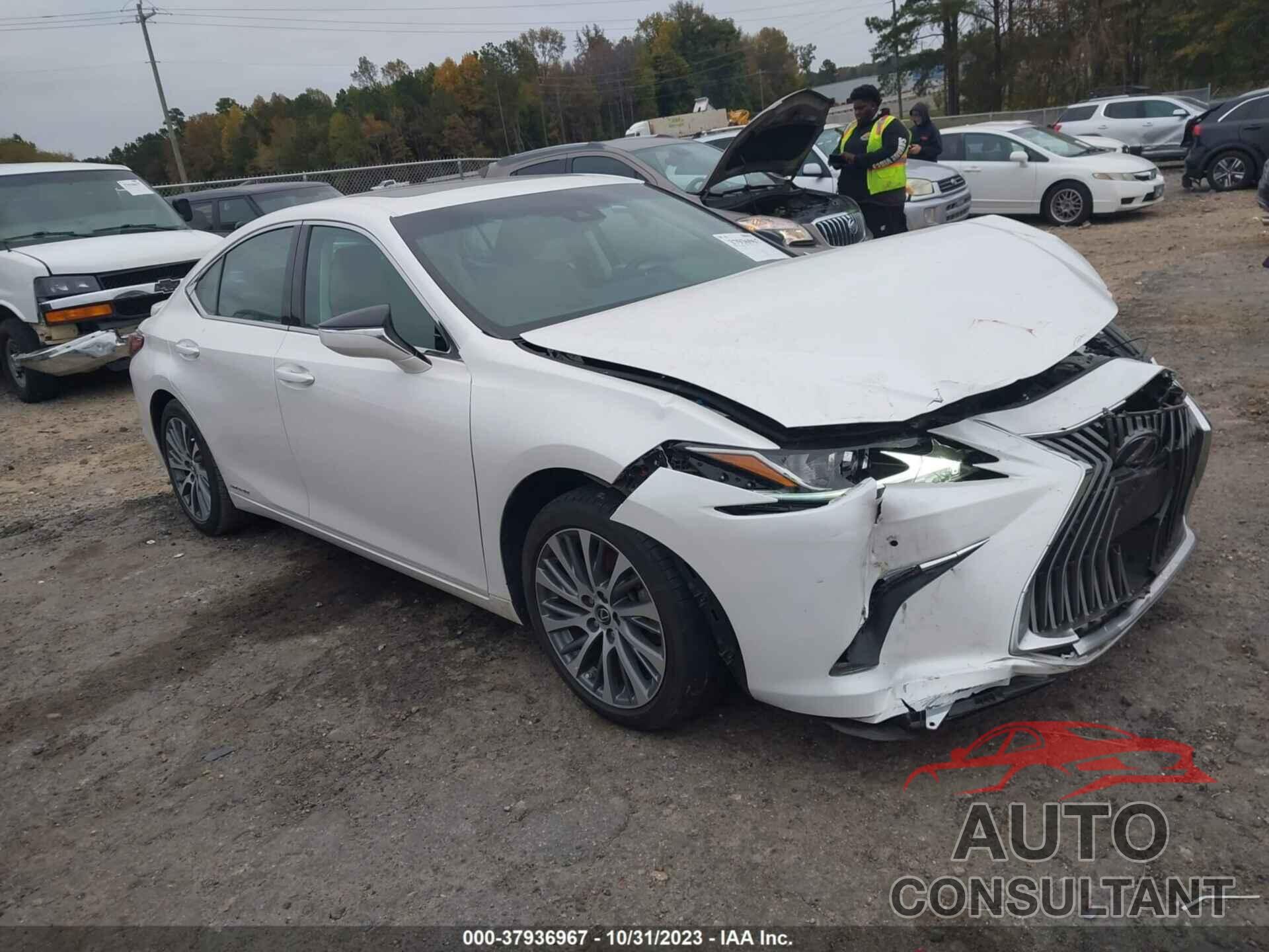 LEXUS ES 300H 2021 - 58ADA1C18MU001148