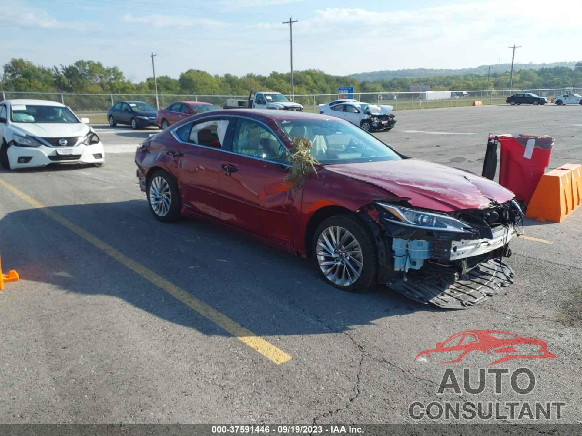 LEXUS ES 300H 2020 - 58AE21B11LU010372