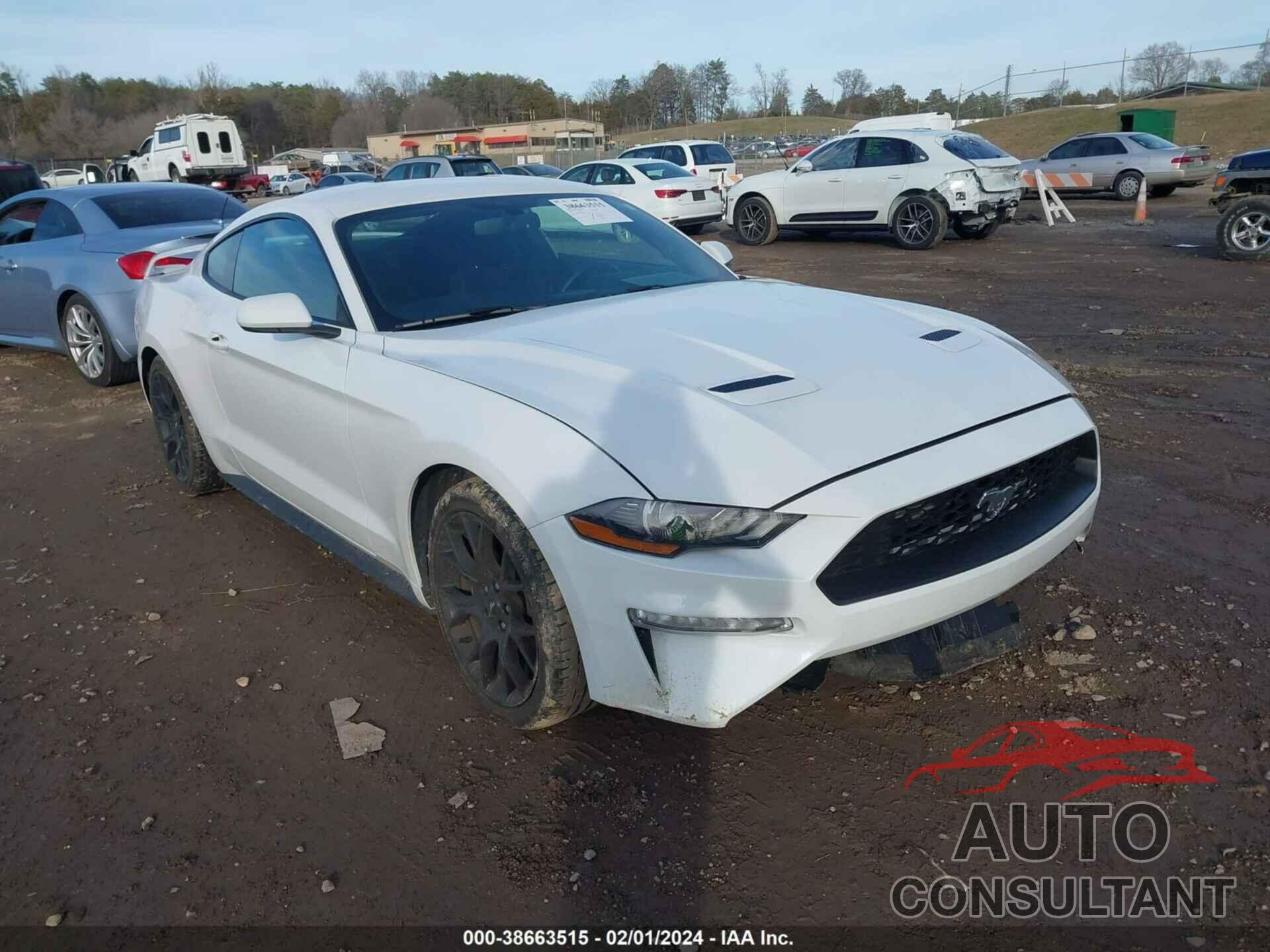 FORD MUSTANG 2019 - 1FA6P8TH3K5124412