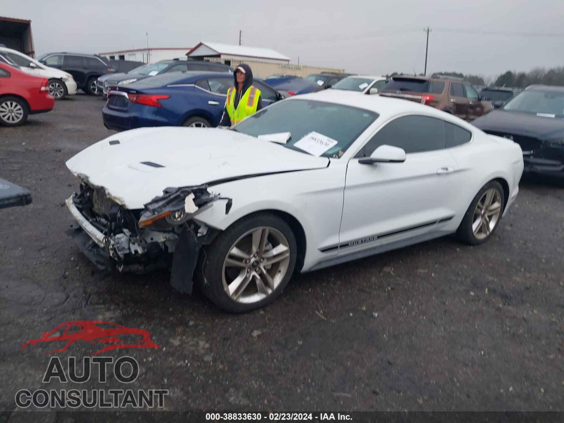 FORD MUSTANG 2019 - 1FA6P8TH3K5166319