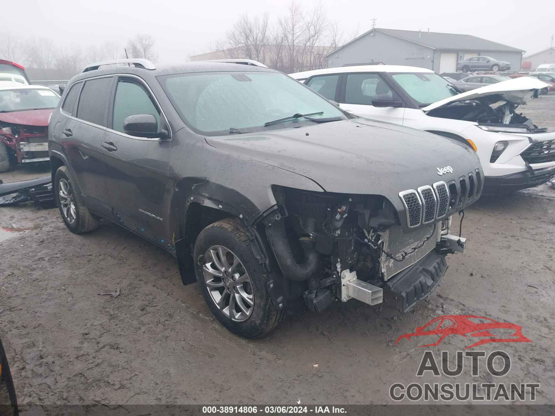 JEEP CHEROKEE 2019 - 1C4PJMLX9KD408391