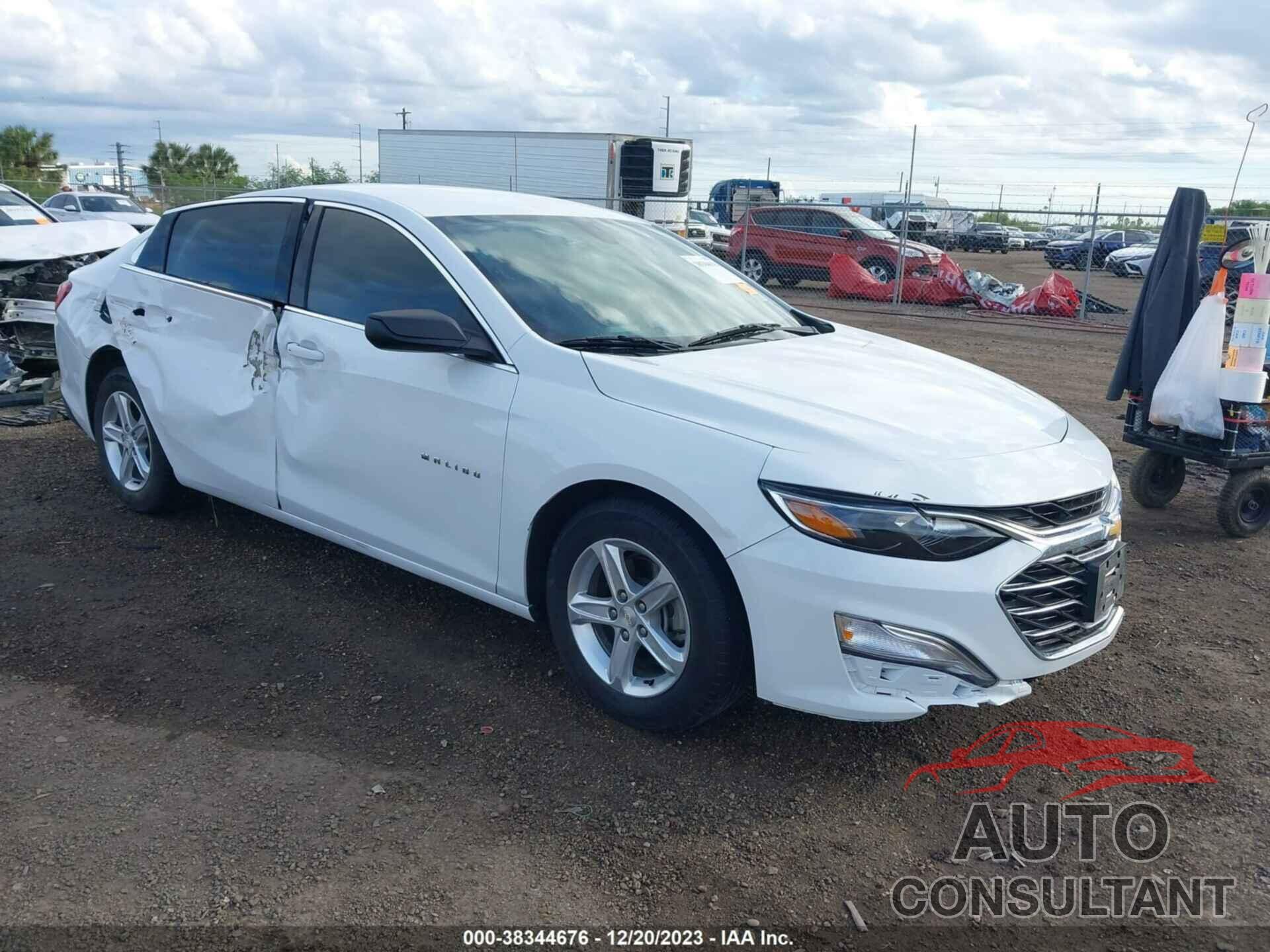 CHEVROLET MALIBU 2019 - 1G1ZB5ST8KF126749