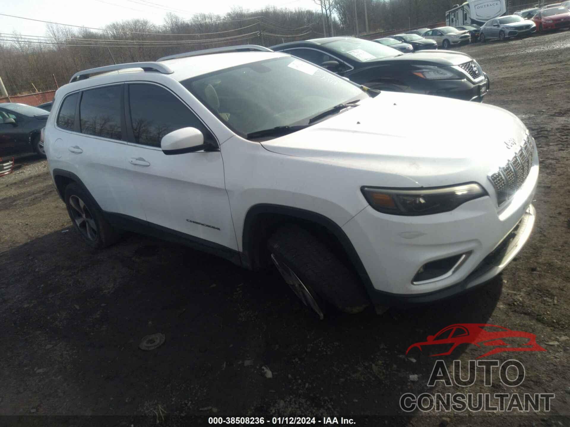 JEEP CHEROKEE 2019 - 1C4PJMDX0KD163611