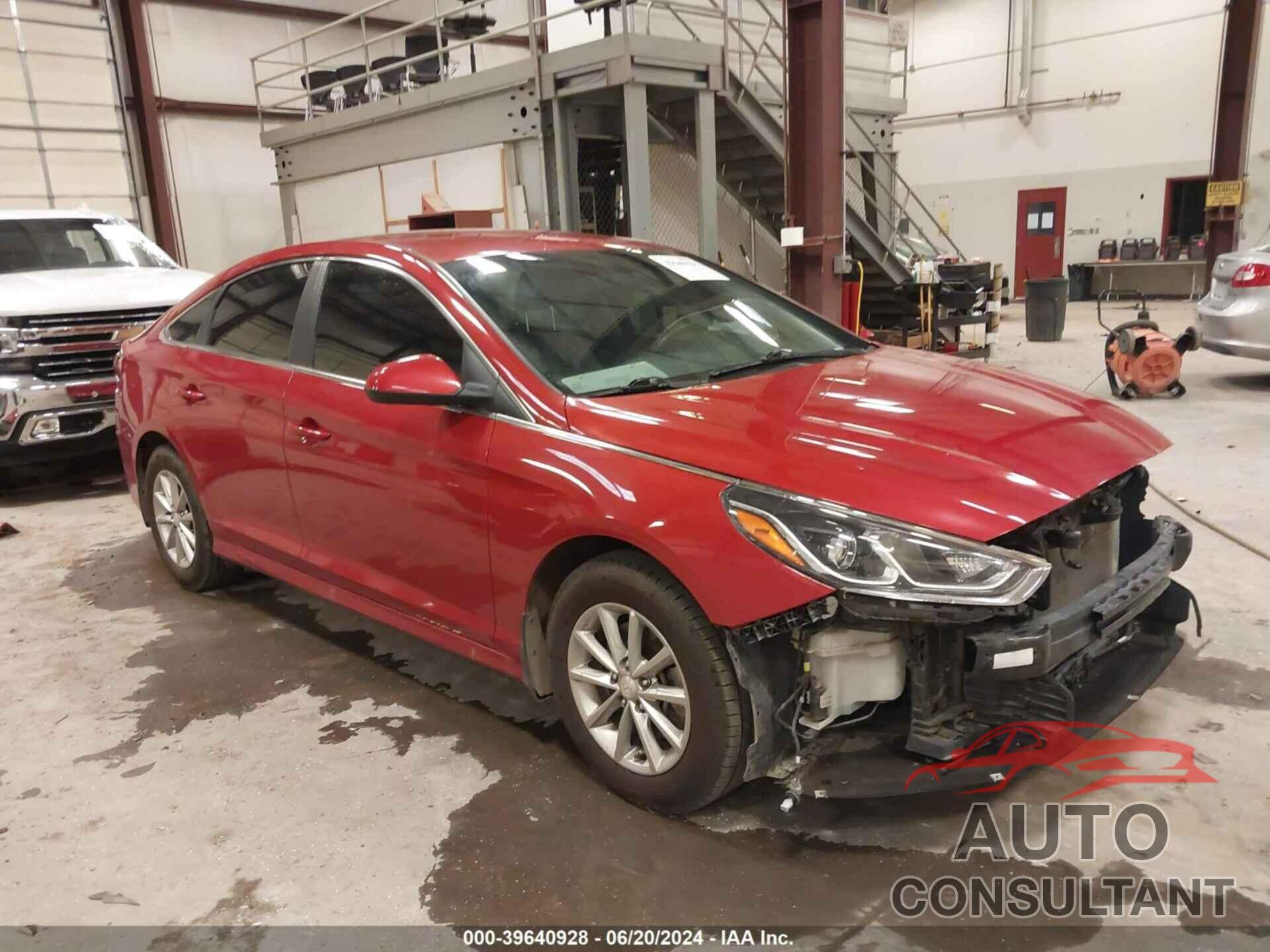 HYUNDAI SONATA 2019 - 5NPE24AF9KH731154