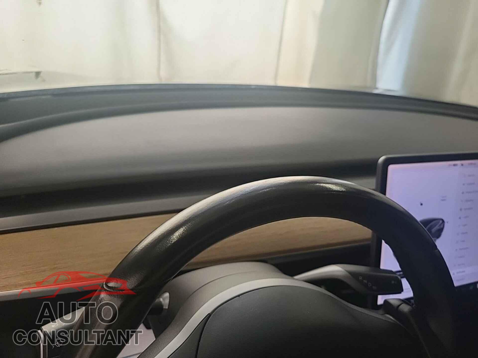 TESLA MODEL 3 2019 - 5YJ3E1EB5KF197041