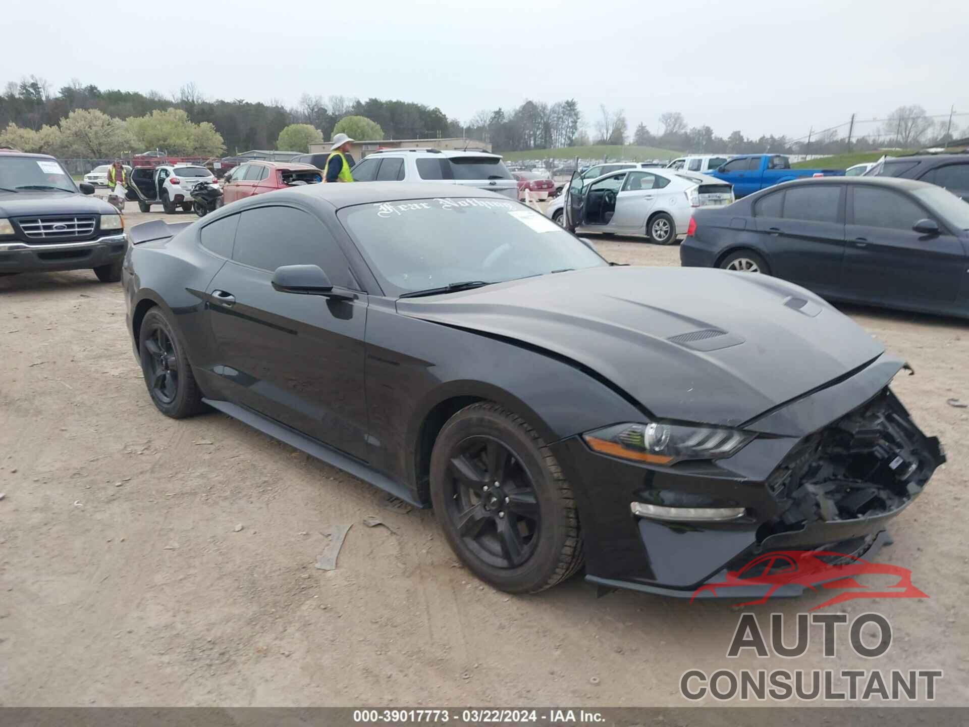 FORD MUSTANG 2019 - 1FA6P8THXK5177978