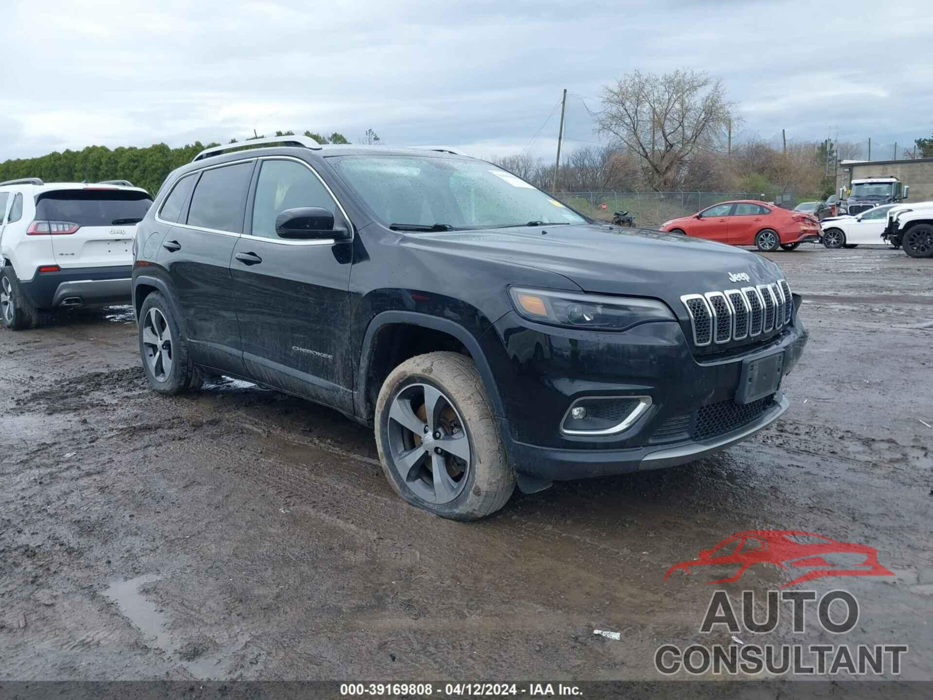 JEEP CHEROKEE 2019 - 1C4PJMDX5KD309629