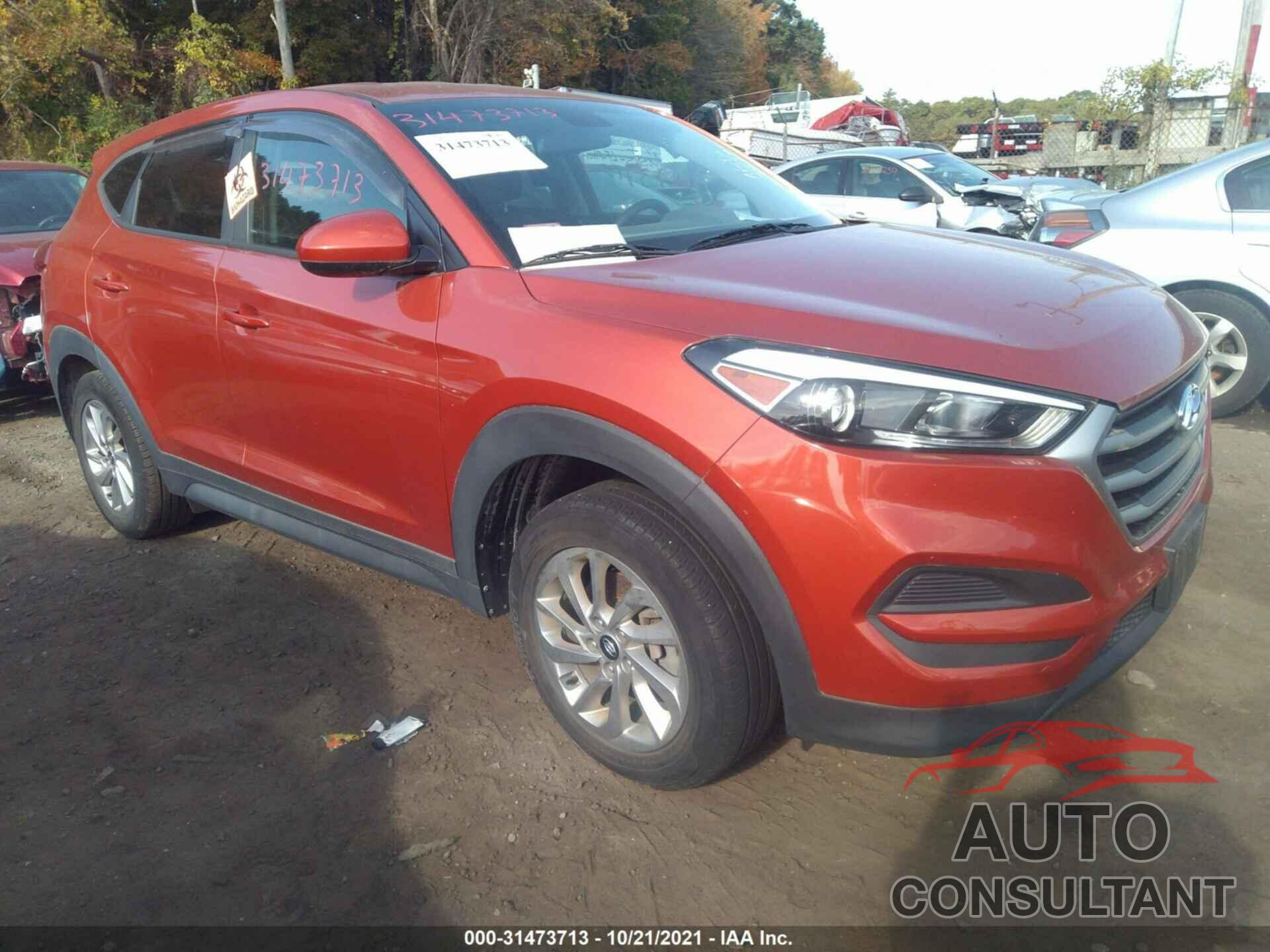 HYUNDAI TUCSON 2017 - KM8J23A47HU402289