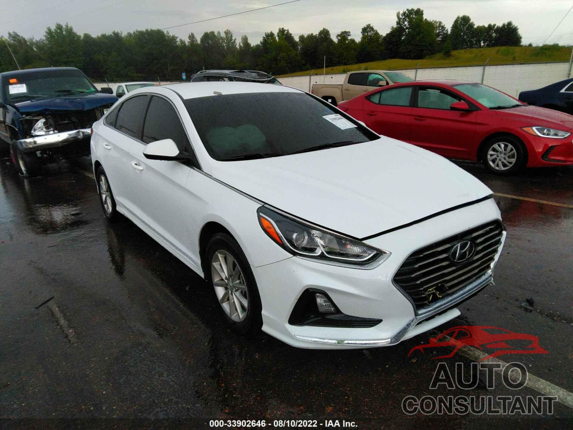 HYUNDAI SONATA 2019 - 5NPE24AF3KH769138