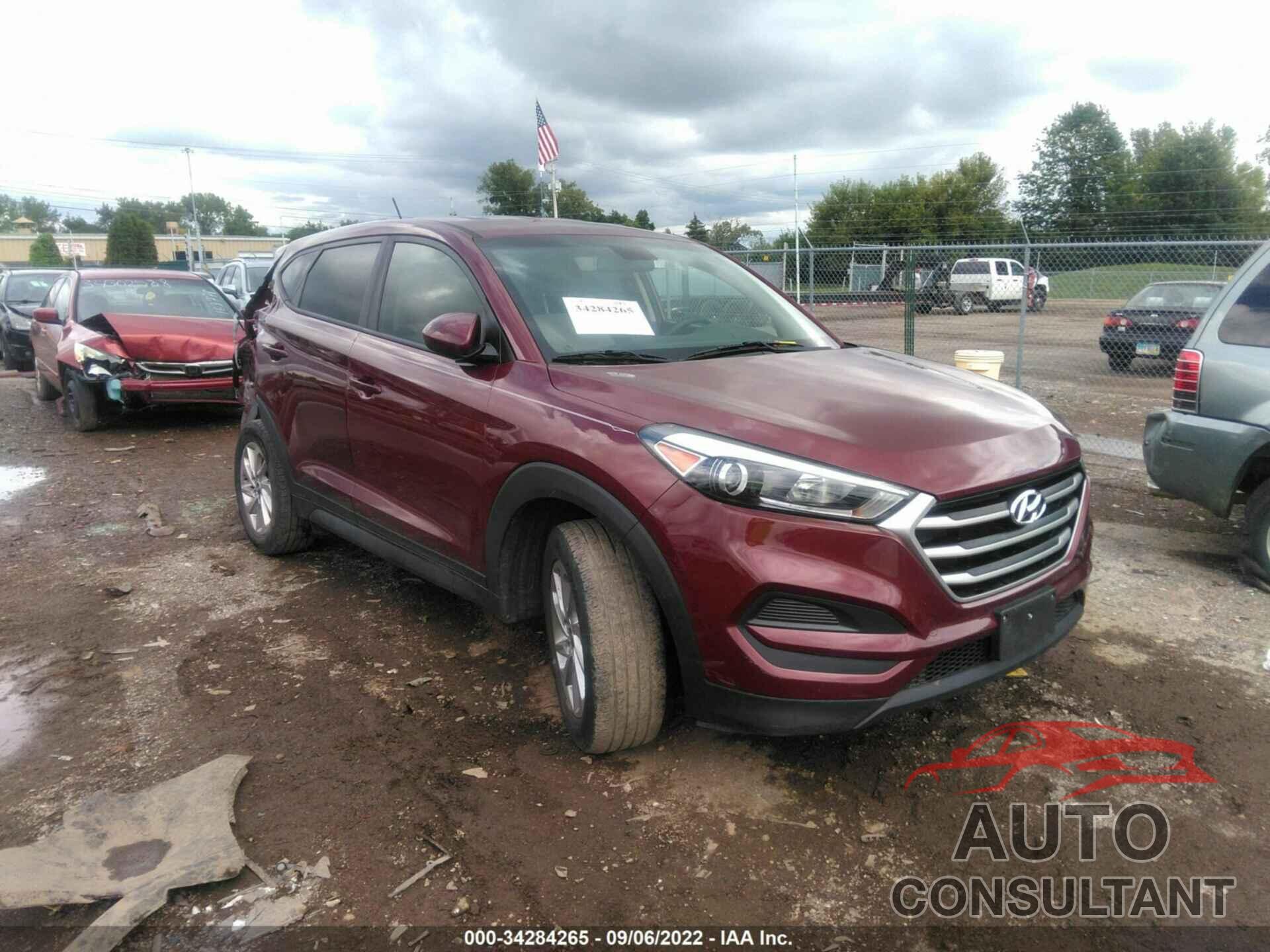 HYUNDAI TUCSON 2017 - KM8J23A44HU356534