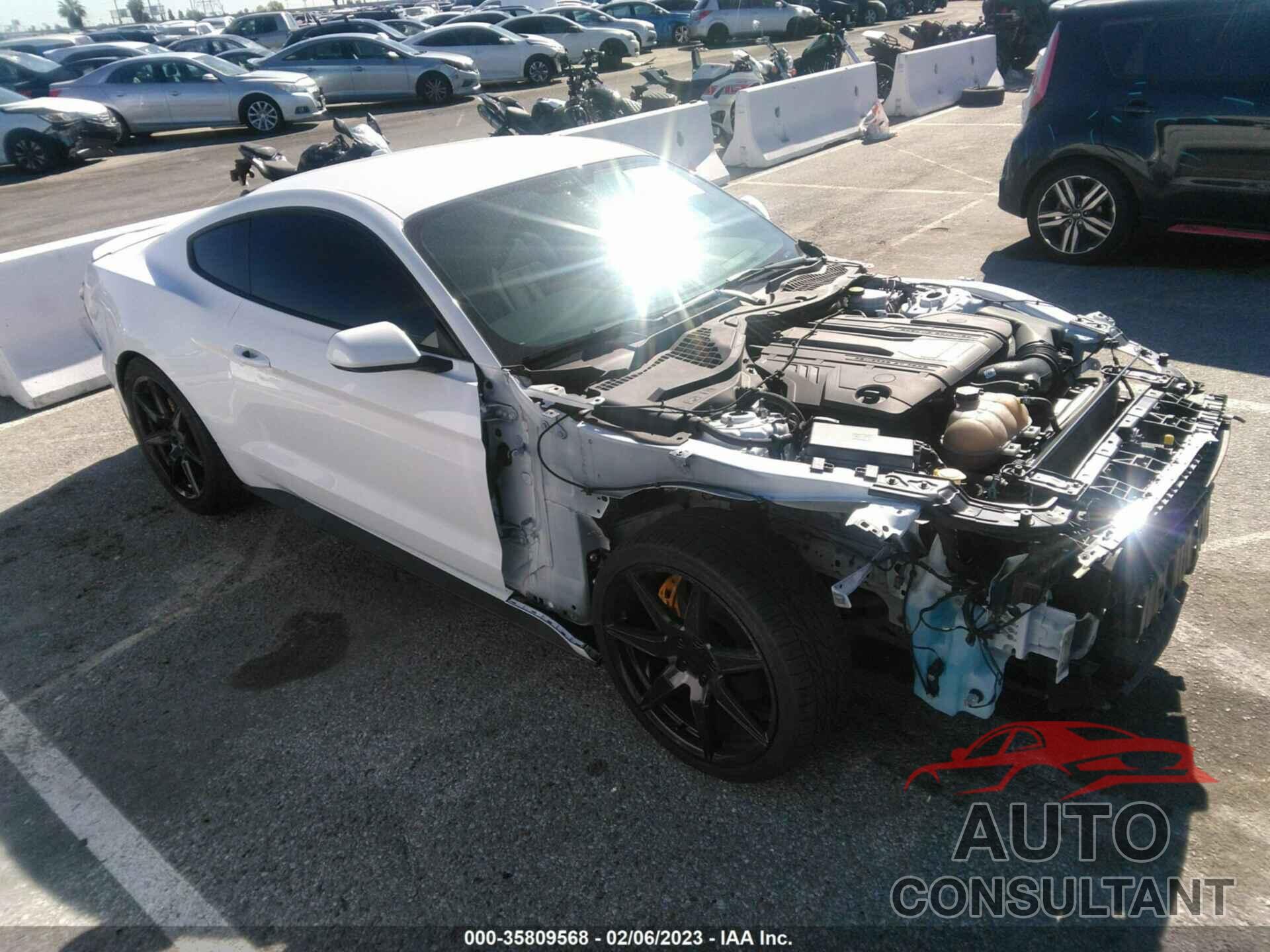 FORD MUSTANG 2019 - 1FA6P8CF4K5202436