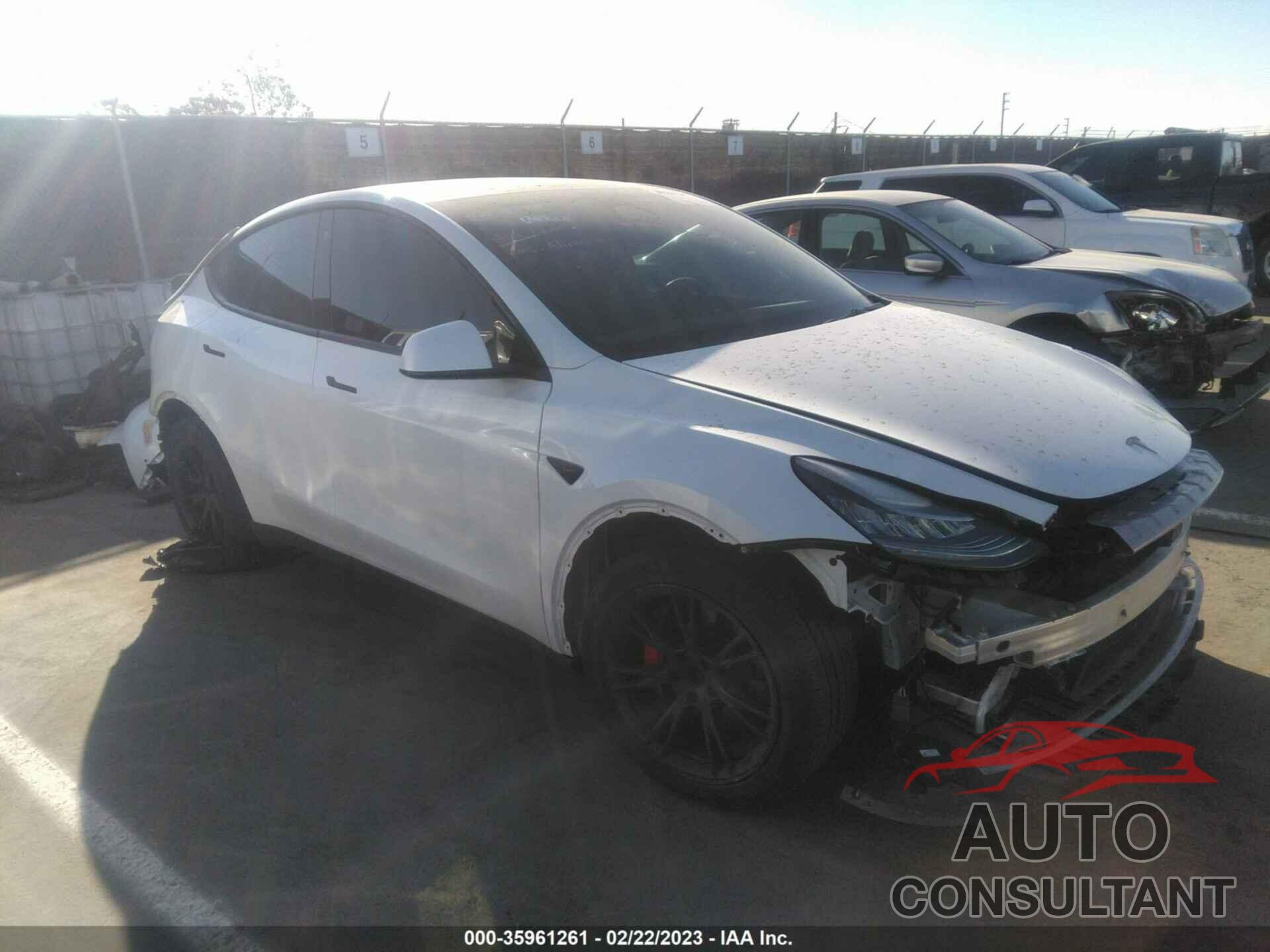 TESLA MODEL Y 2021 - 5YJYGDEE9MF149637