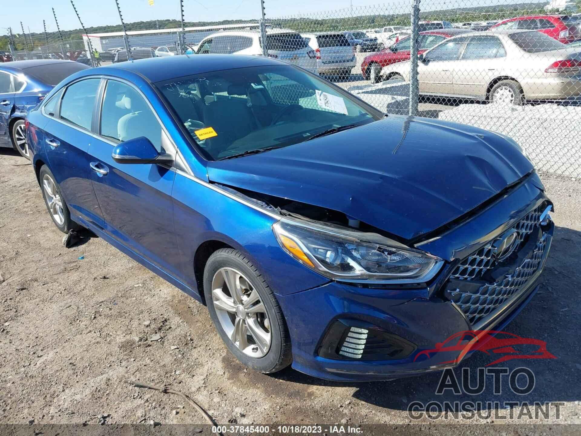 HYUNDAI SONATA 2019 - 5NPE34AF6KH784648