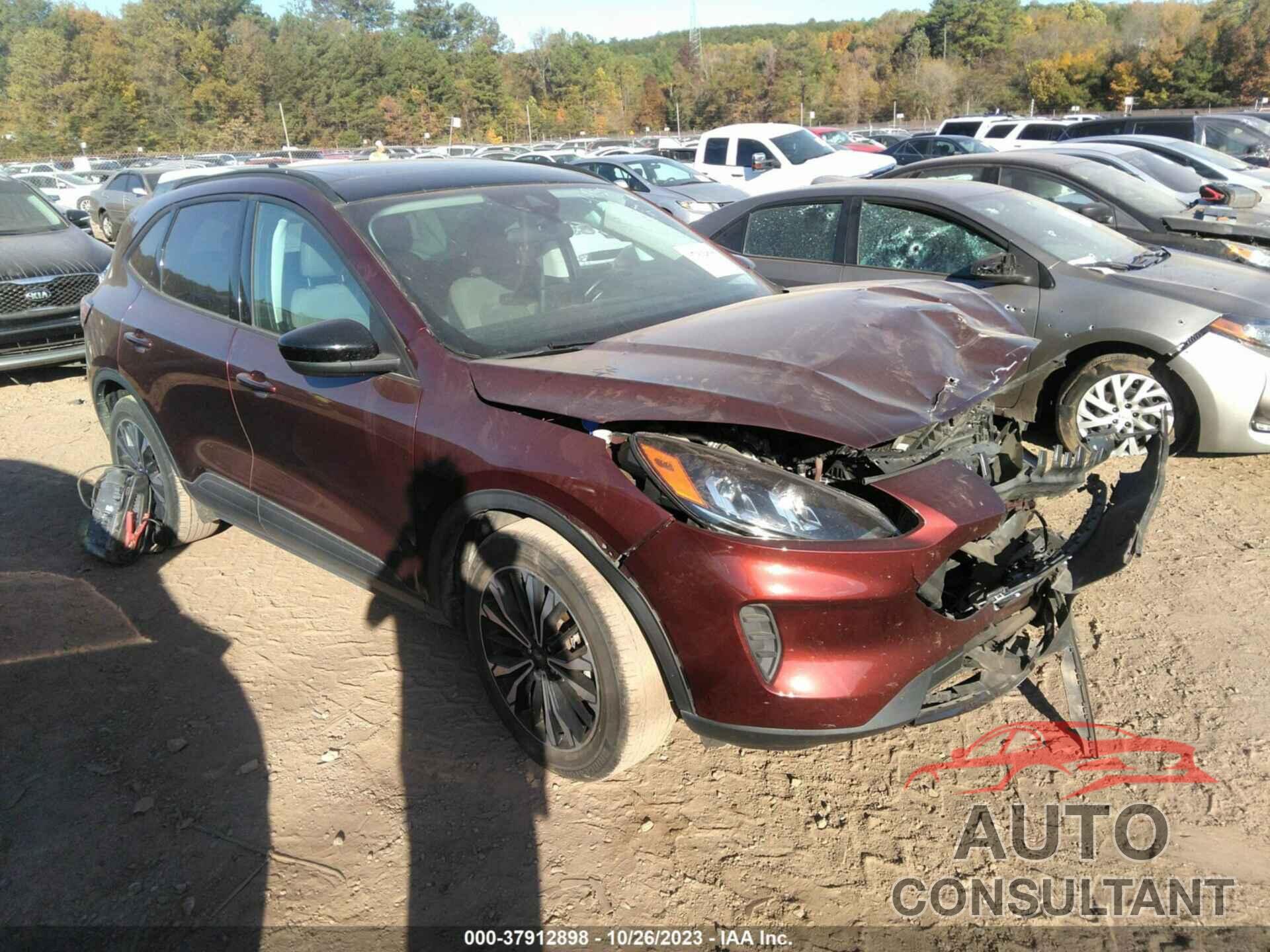 FORD ESCAPE 2021 - 1FMCU0G63MUA31751