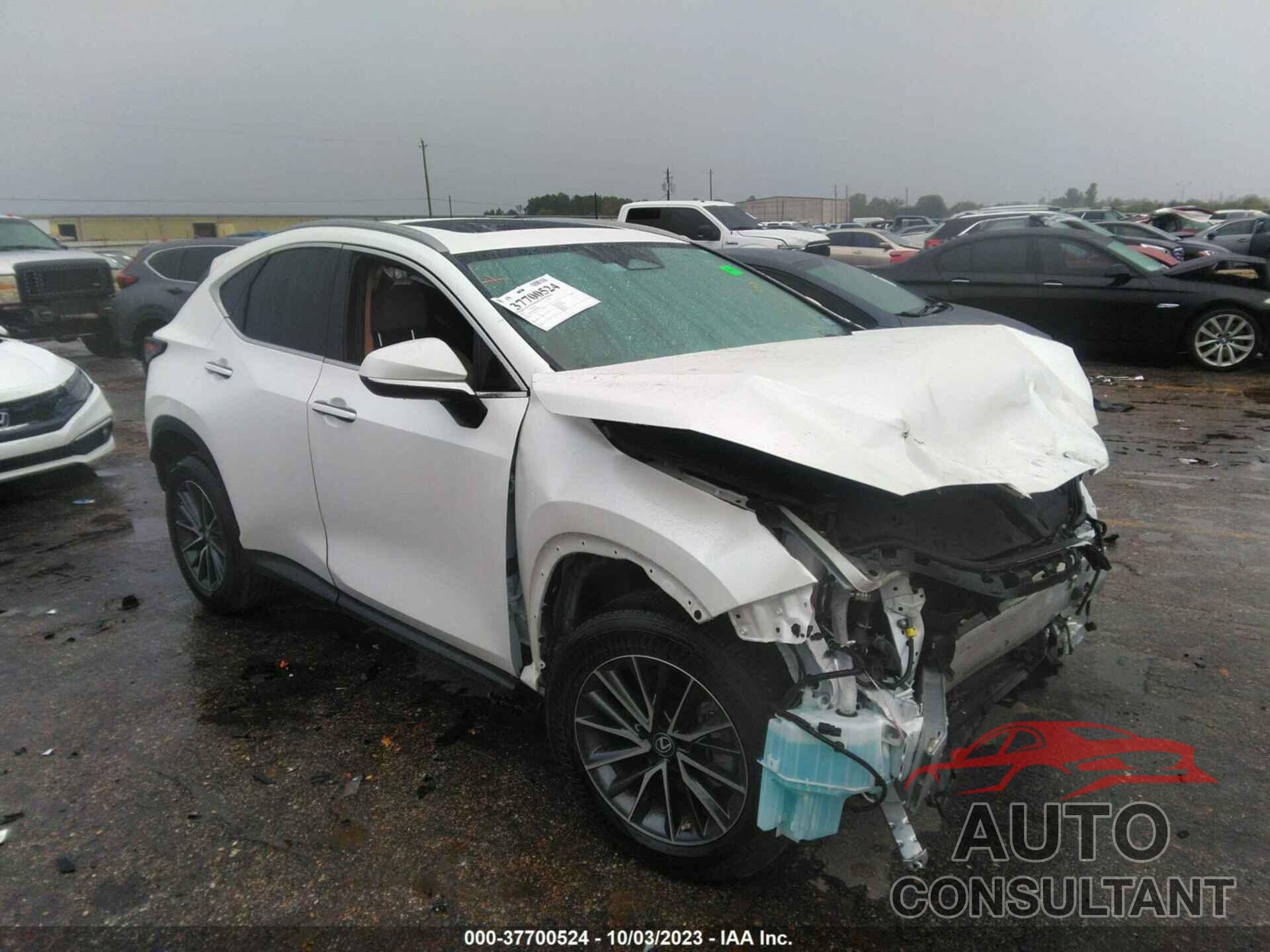 LEXUS NX 2022 - 2T2GGCEZ3NC012624