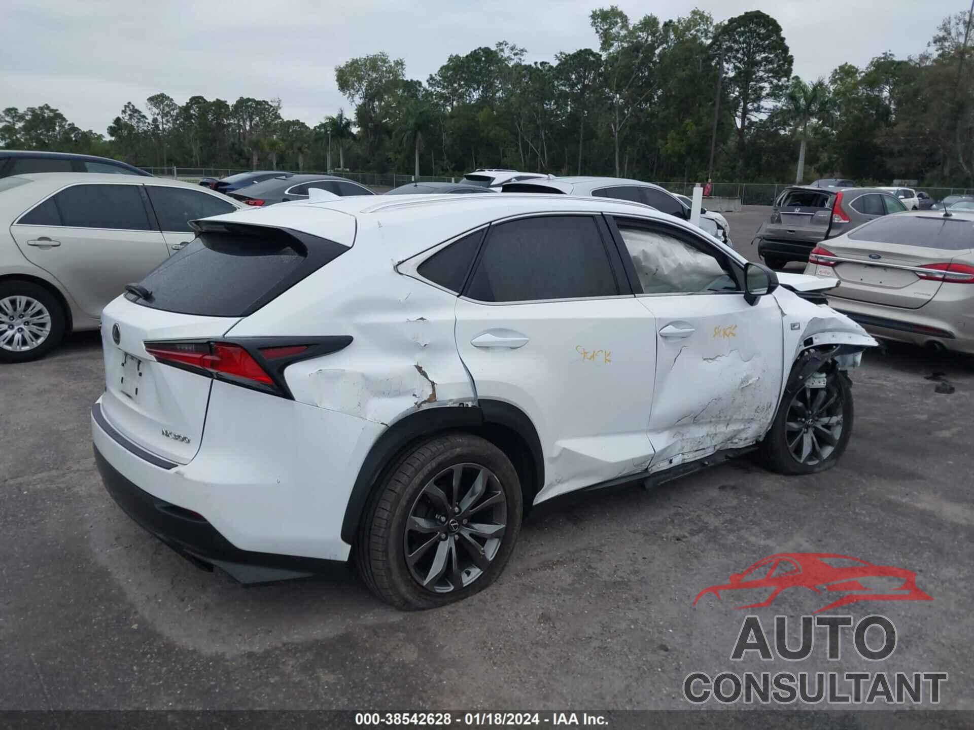 LEXUS NX 2019 - JTJYARBZ2K2117065