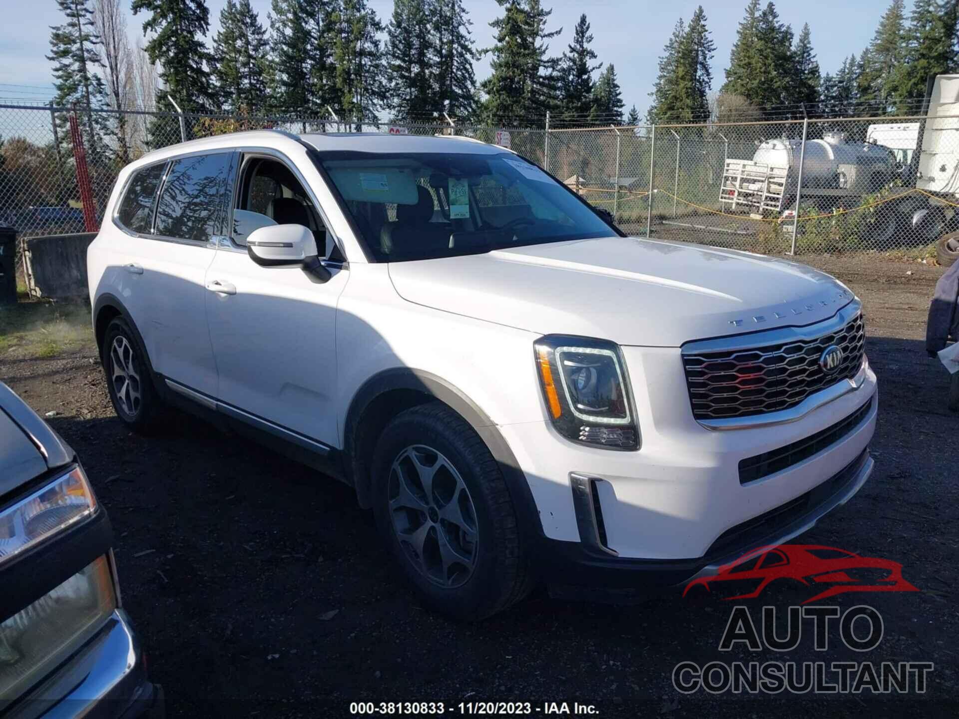 KIA TELLURIDE 2021 - 5XYP34HC5MG131811