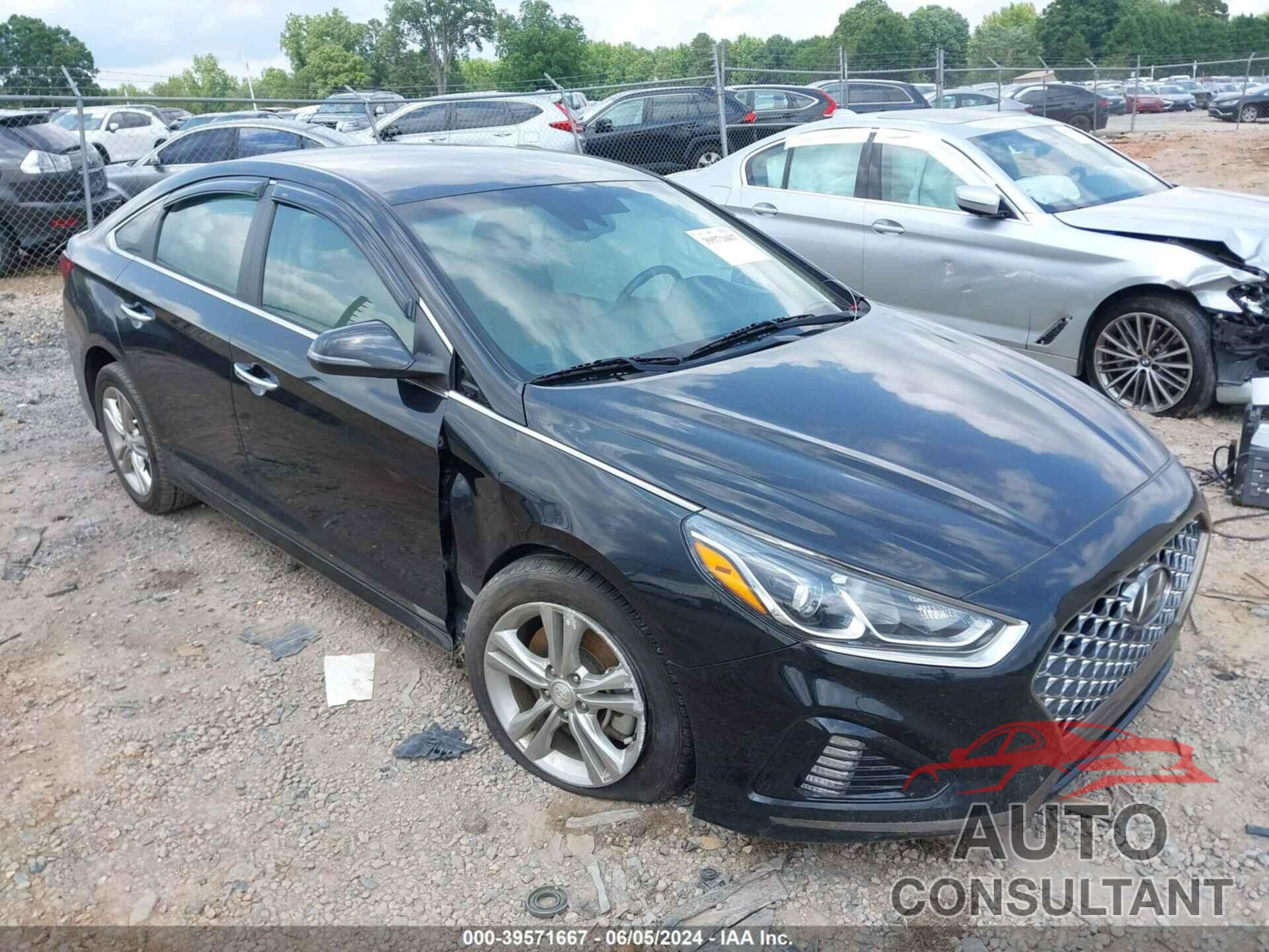 HYUNDAI SONATA 2019 - 5NPE34AF5KH787329