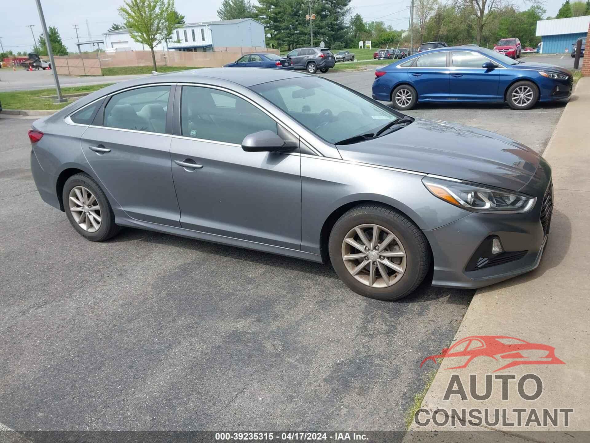 HYUNDAI SONATA 2019 - 5NPE24AA8KH774873