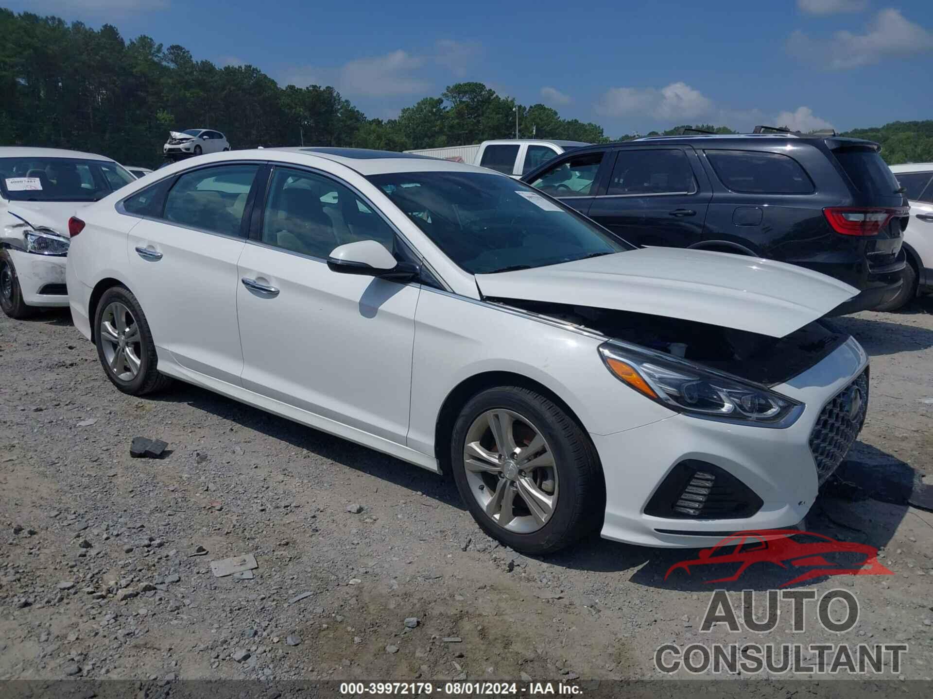 HYUNDAI SONATA 2019 - 5NPE34AF0KH821662