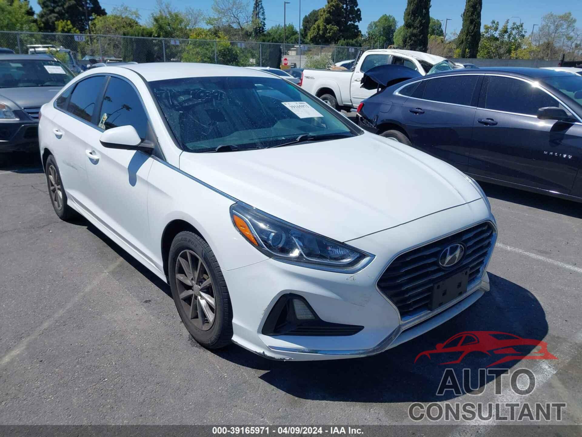 HYUNDAI SONATA 2019 - 5NPE24AF5KH735377