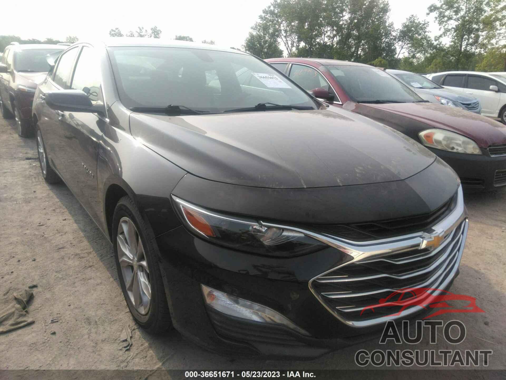 CHEVROLET MALIBU 2019 - 1G1ZD5STXKF113222