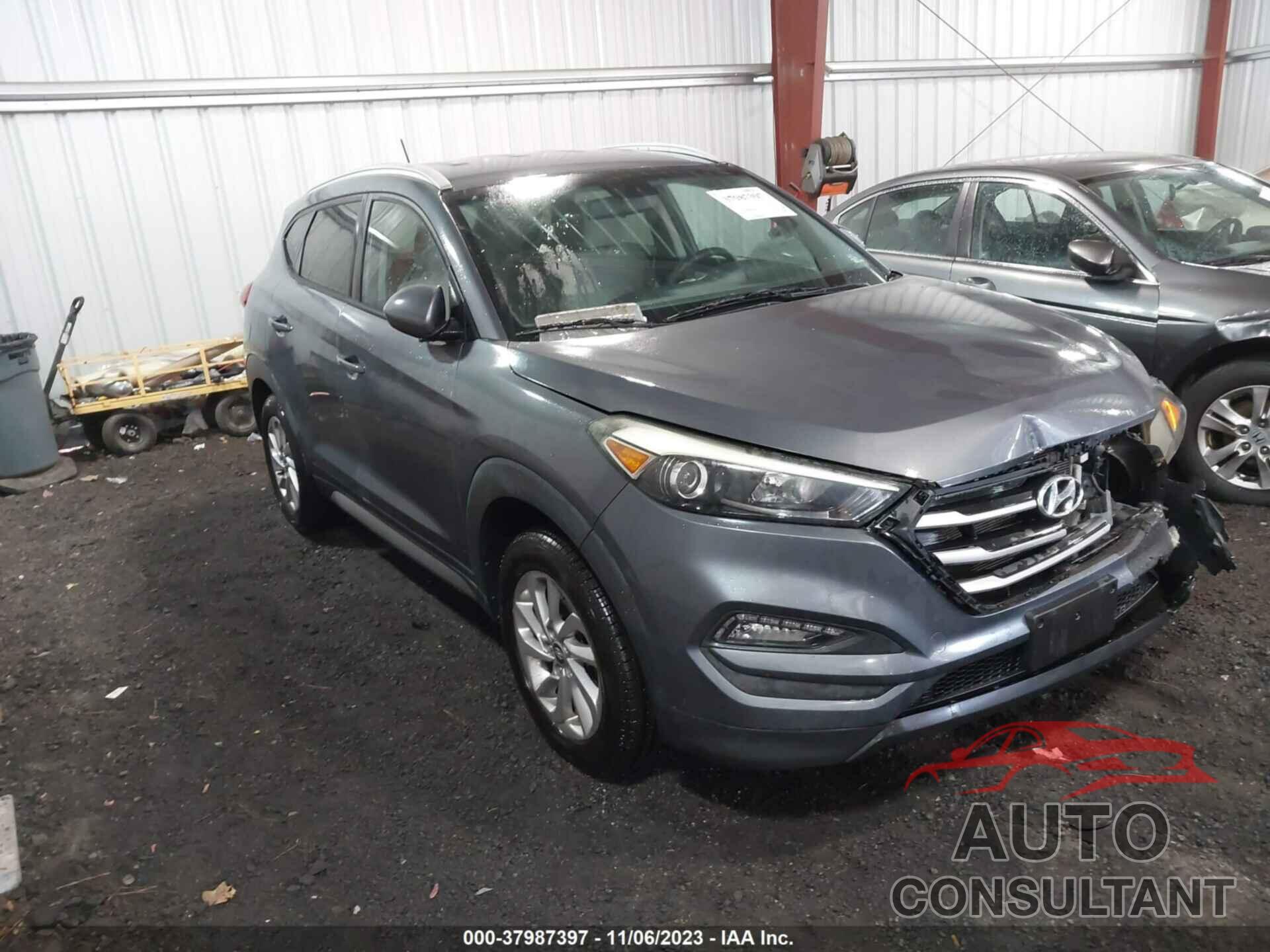 HYUNDAI TUCSON 2017 - KM8J33A43HU296369