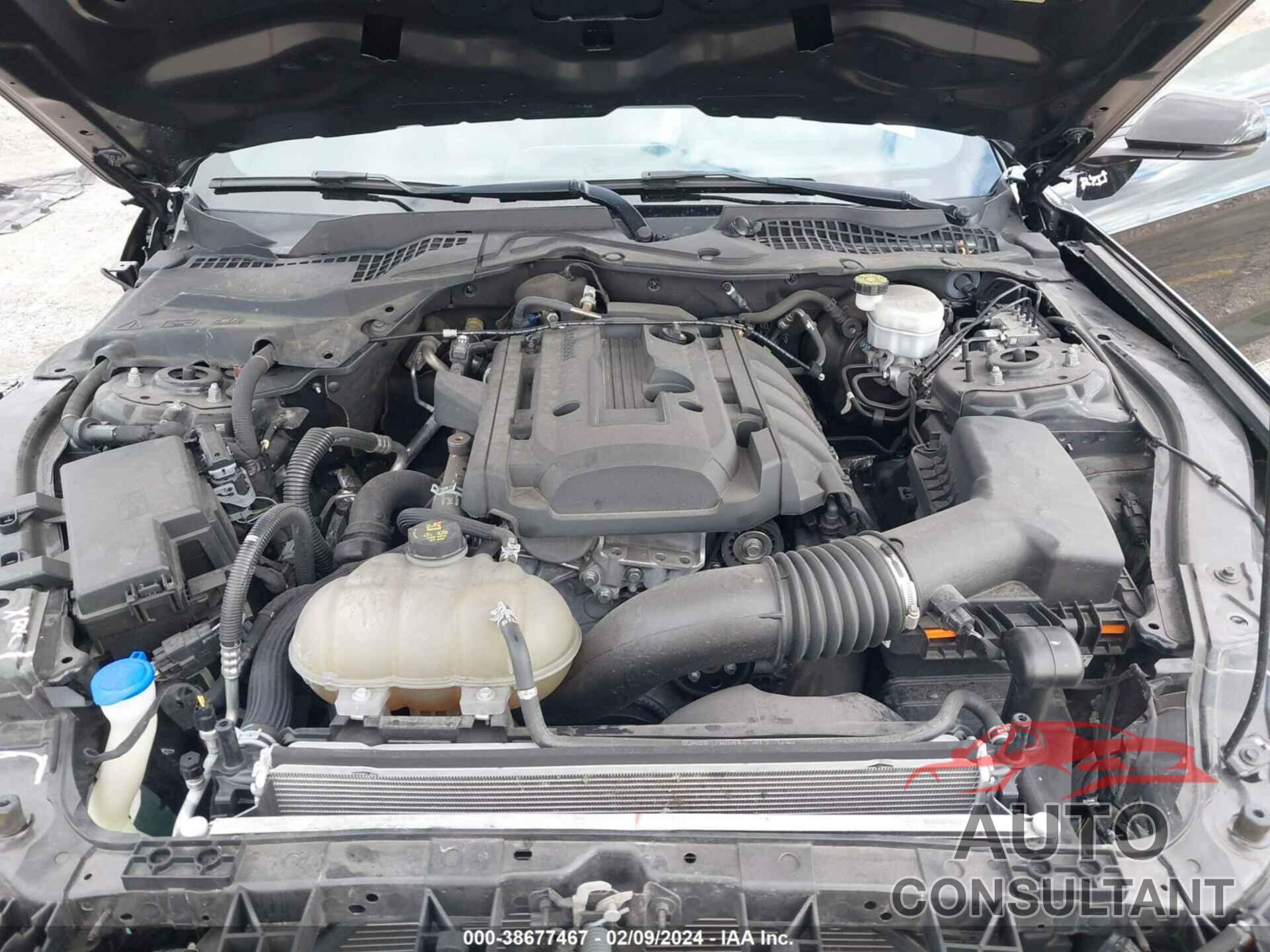 FORD MUSTANG 2020 - 1FA6P8TH2L5151733