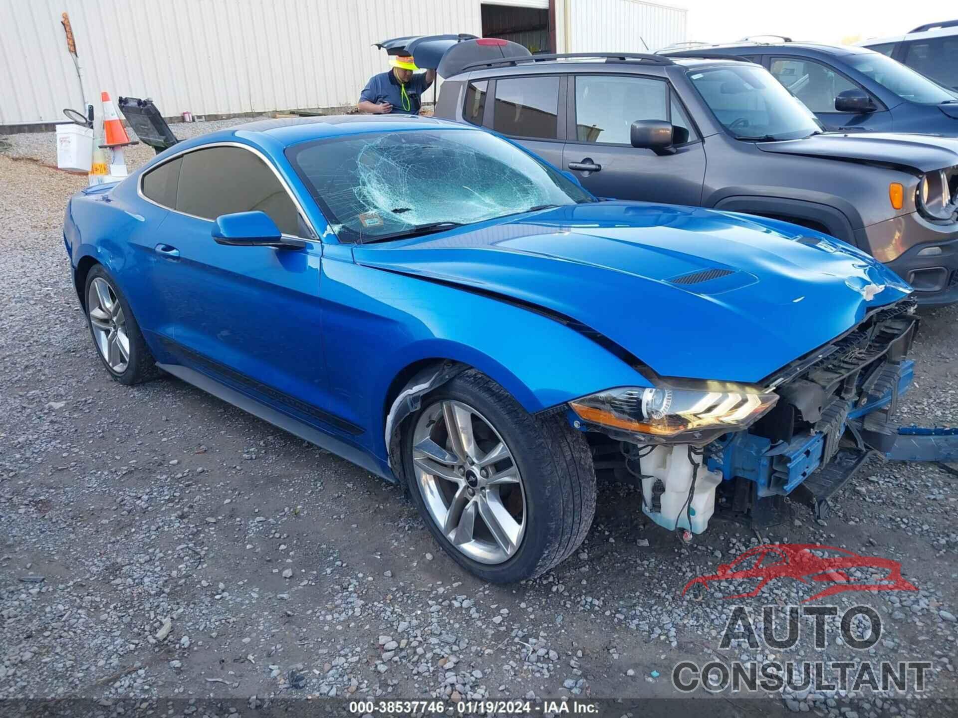 FORD MUSTANG 2019 - 1FA6P8TH3K5108615