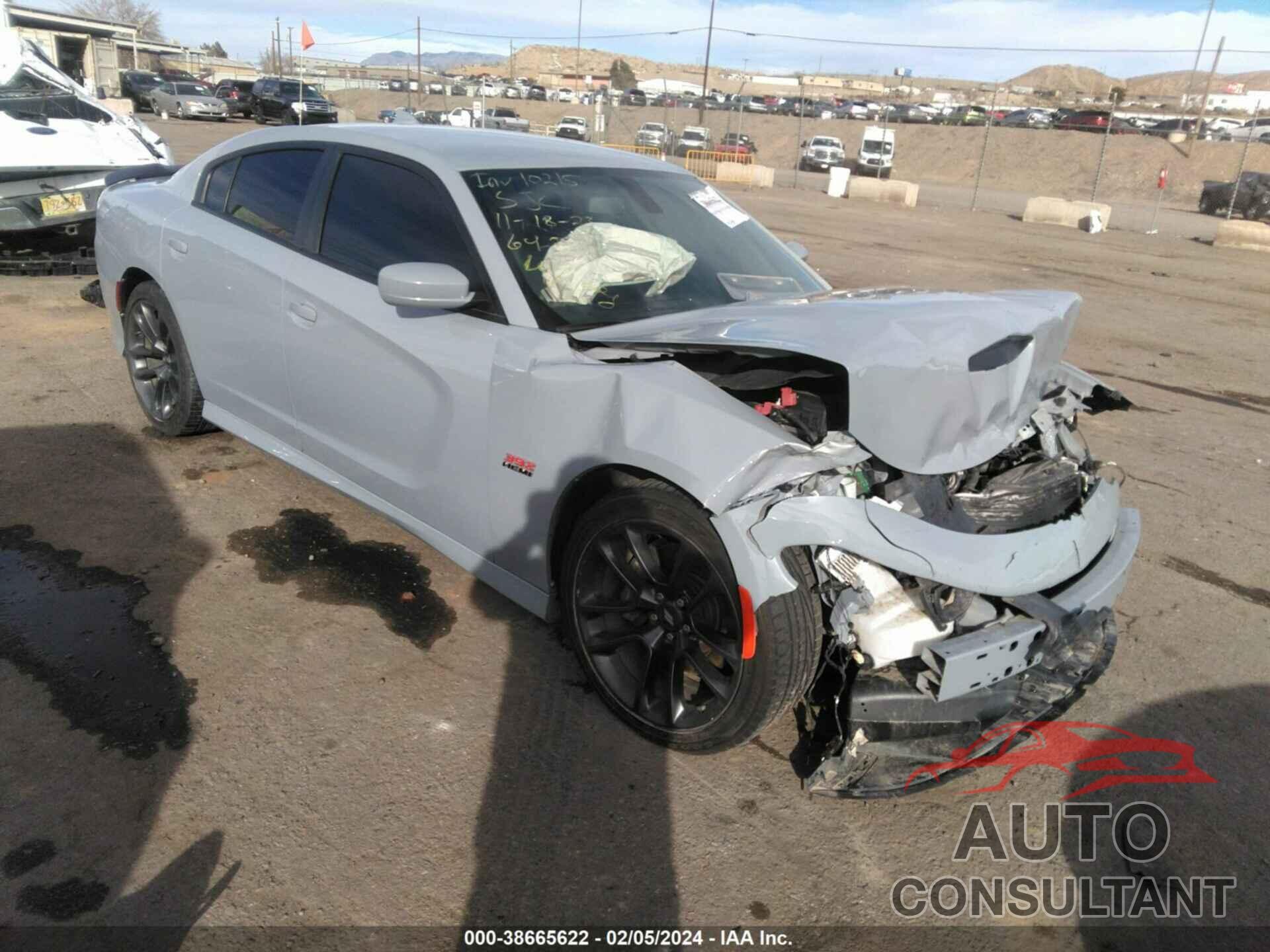 DODGE CHARGER 2020 - 2C3CDXGJ0LH244373