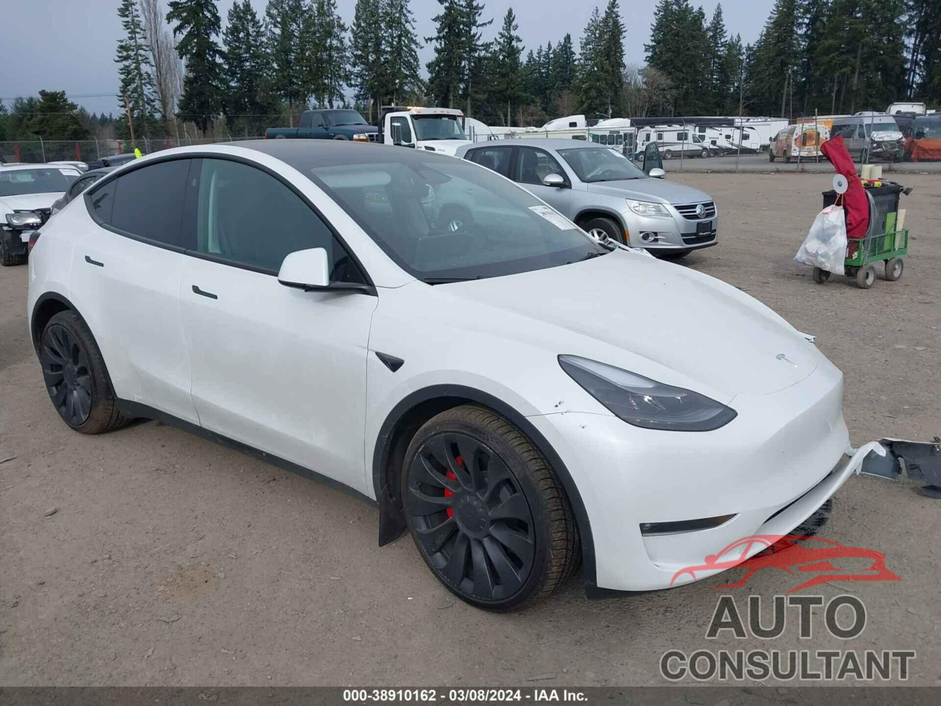 TESLA MODEL Y 2023 - 7SAYGDEF1PF767566