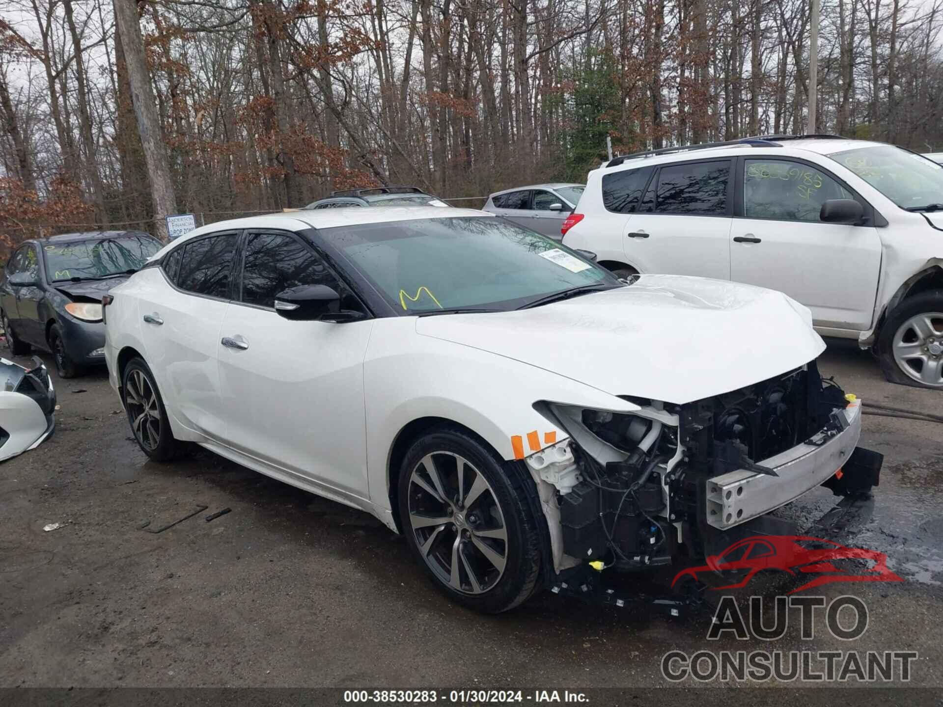 NISSAN MAXIMA 2019 - 1N4AA6AV0KC378132