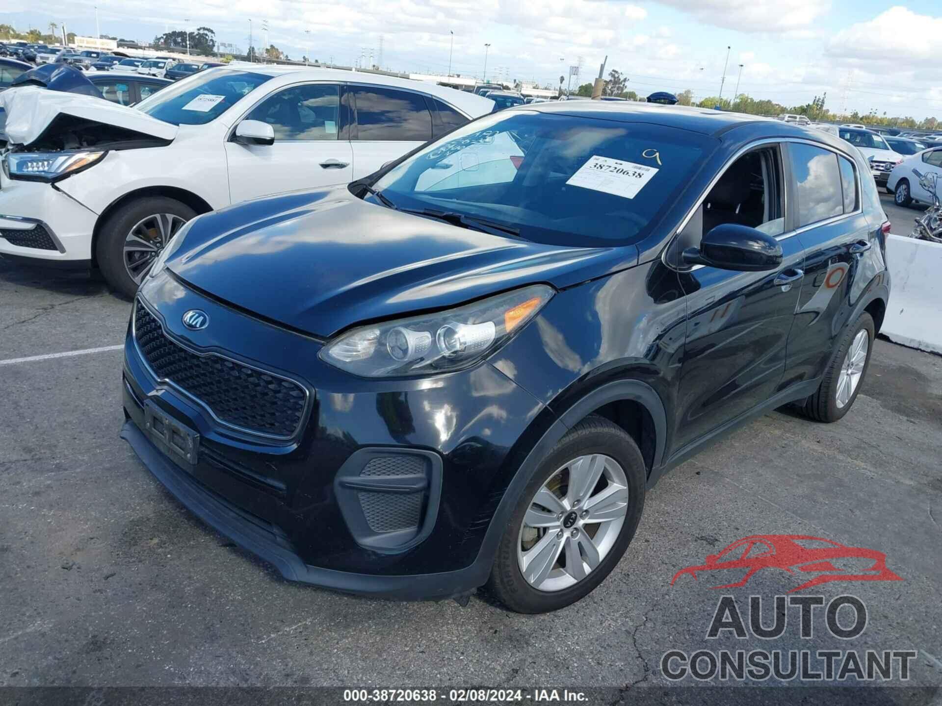 KIA SPORTAGE 2017 - KNDPM3ACXH7079452