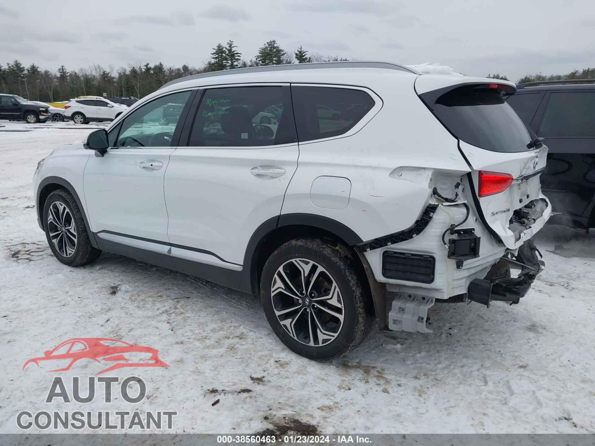 HYUNDAI SANTA FE 2019 - 5NMS5CAA3KH113950