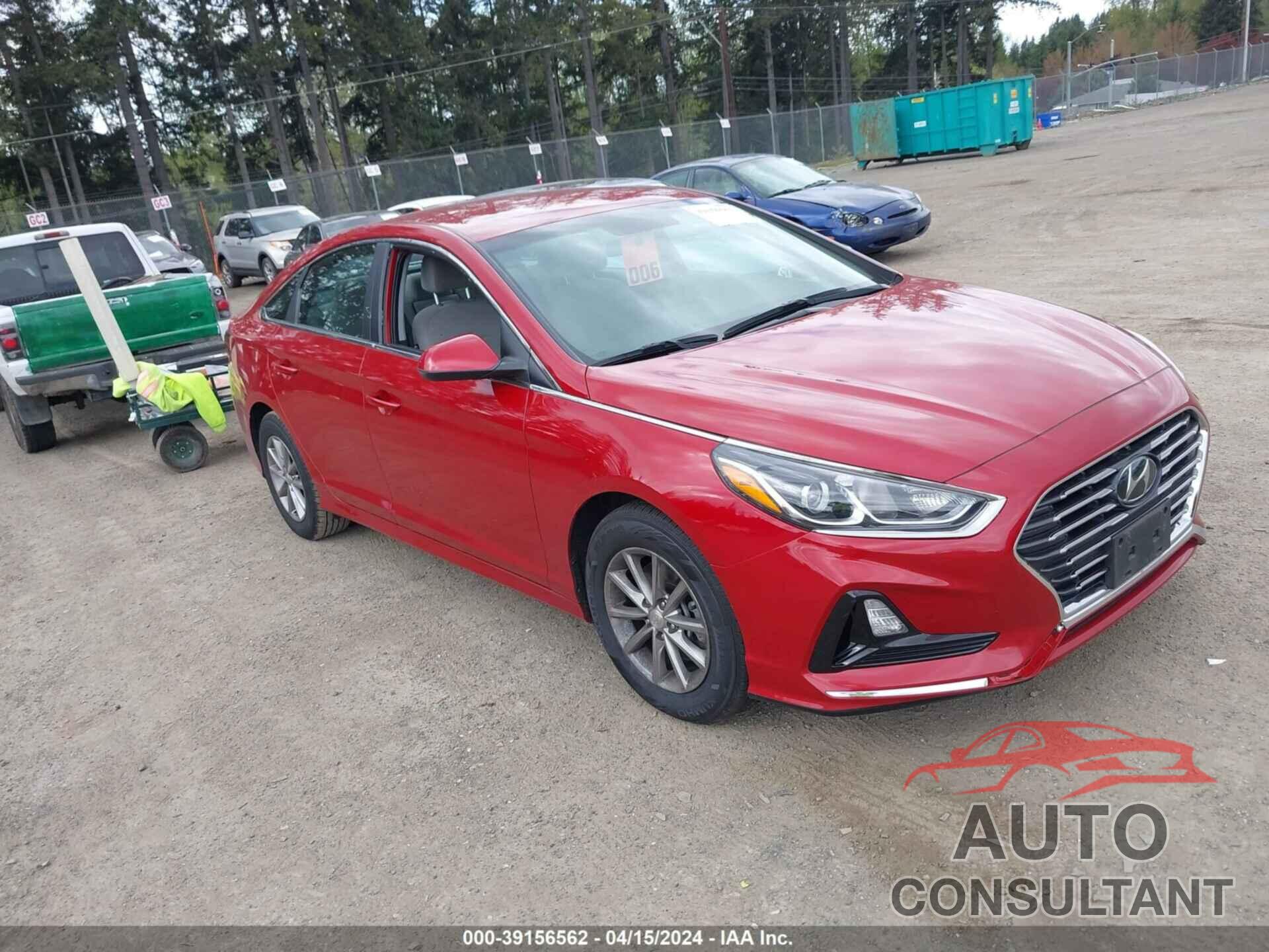 HYUNDAI SONATA 2019 - 5NPE24AF9KH799549