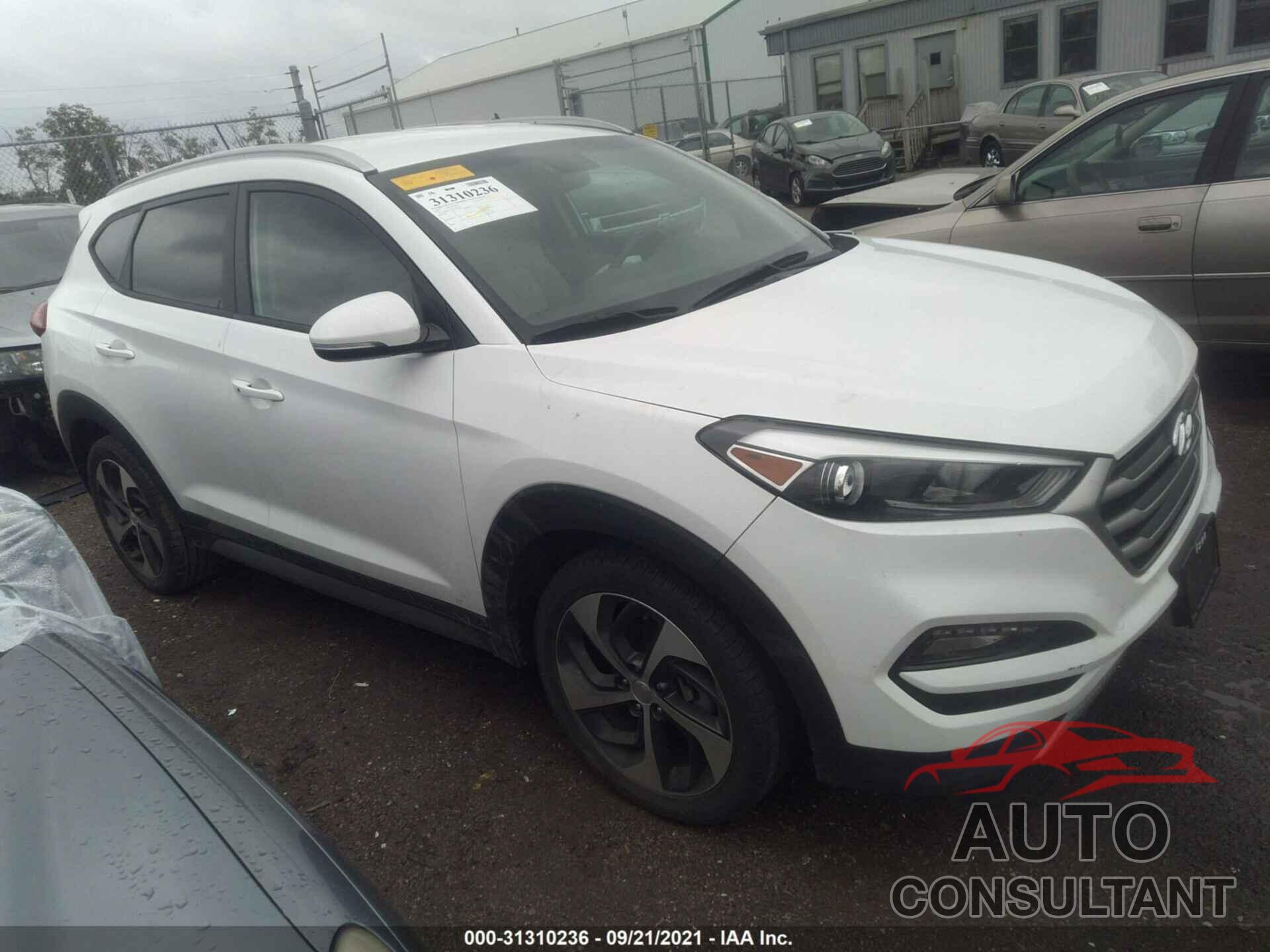 HYUNDAI TUCSON 2017 - KM8J33A23HU339459