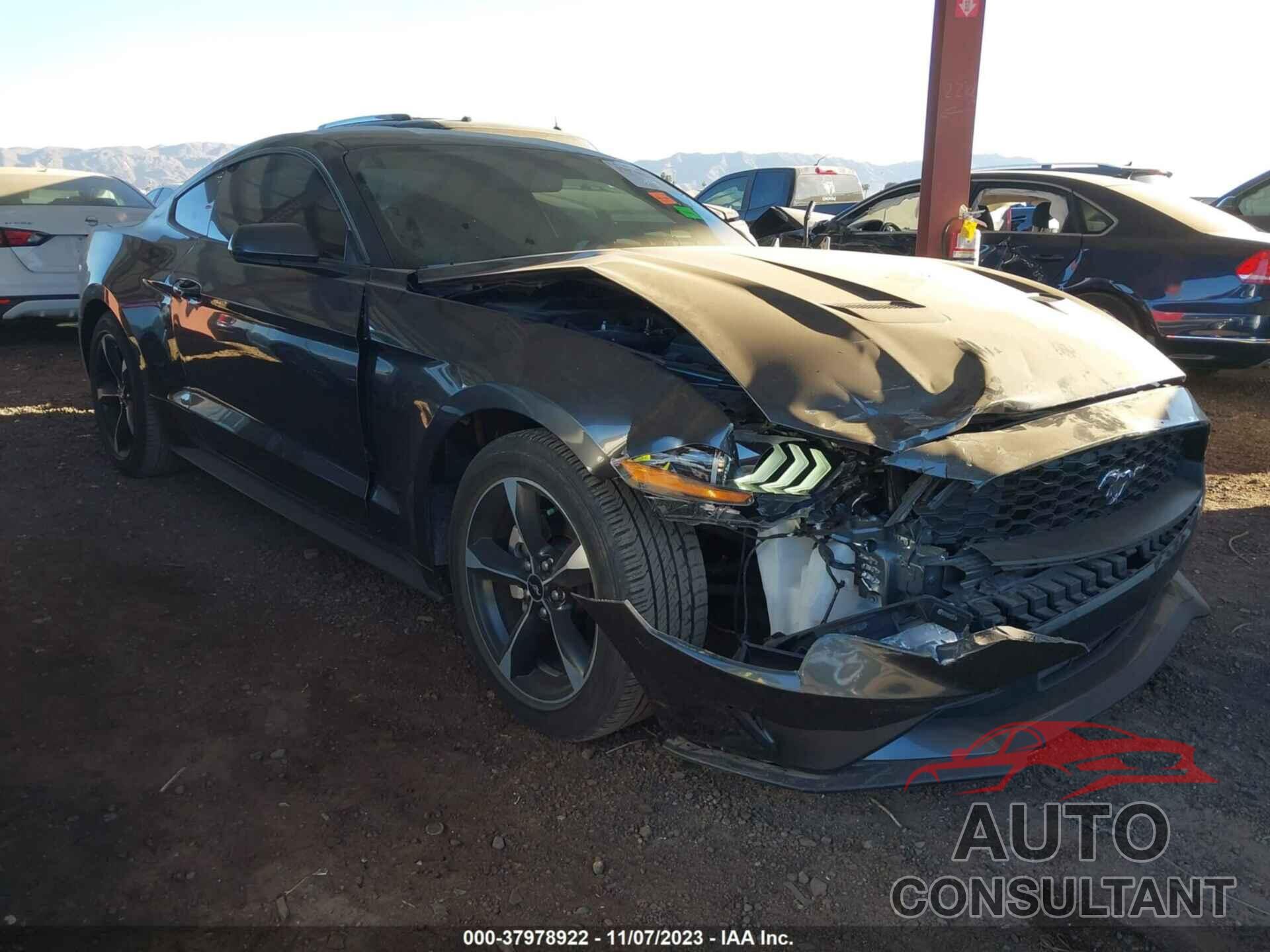 FORD MUSTANG 2019 - 1FA6P8TH7K5193216