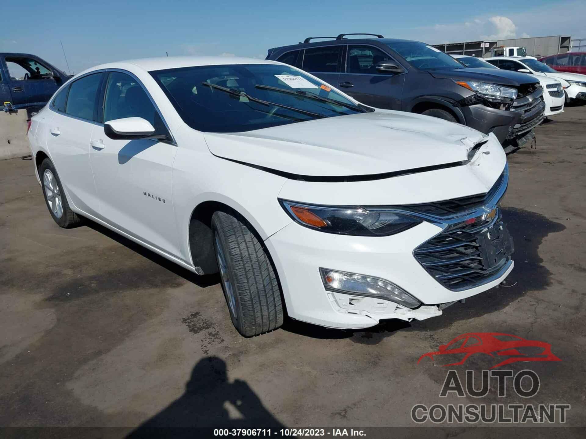 CHEVROLET MALIBU 2019 - 1G1ZD5ST7KF158781