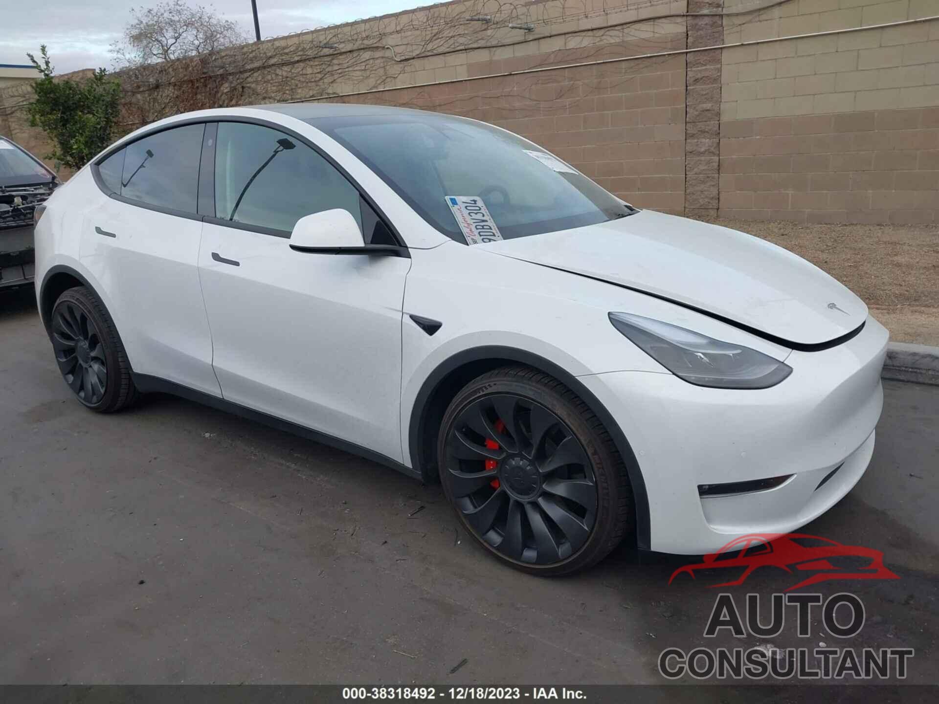 TESLA MODEL Y 2022 - 7SAYGDEF8NF558628