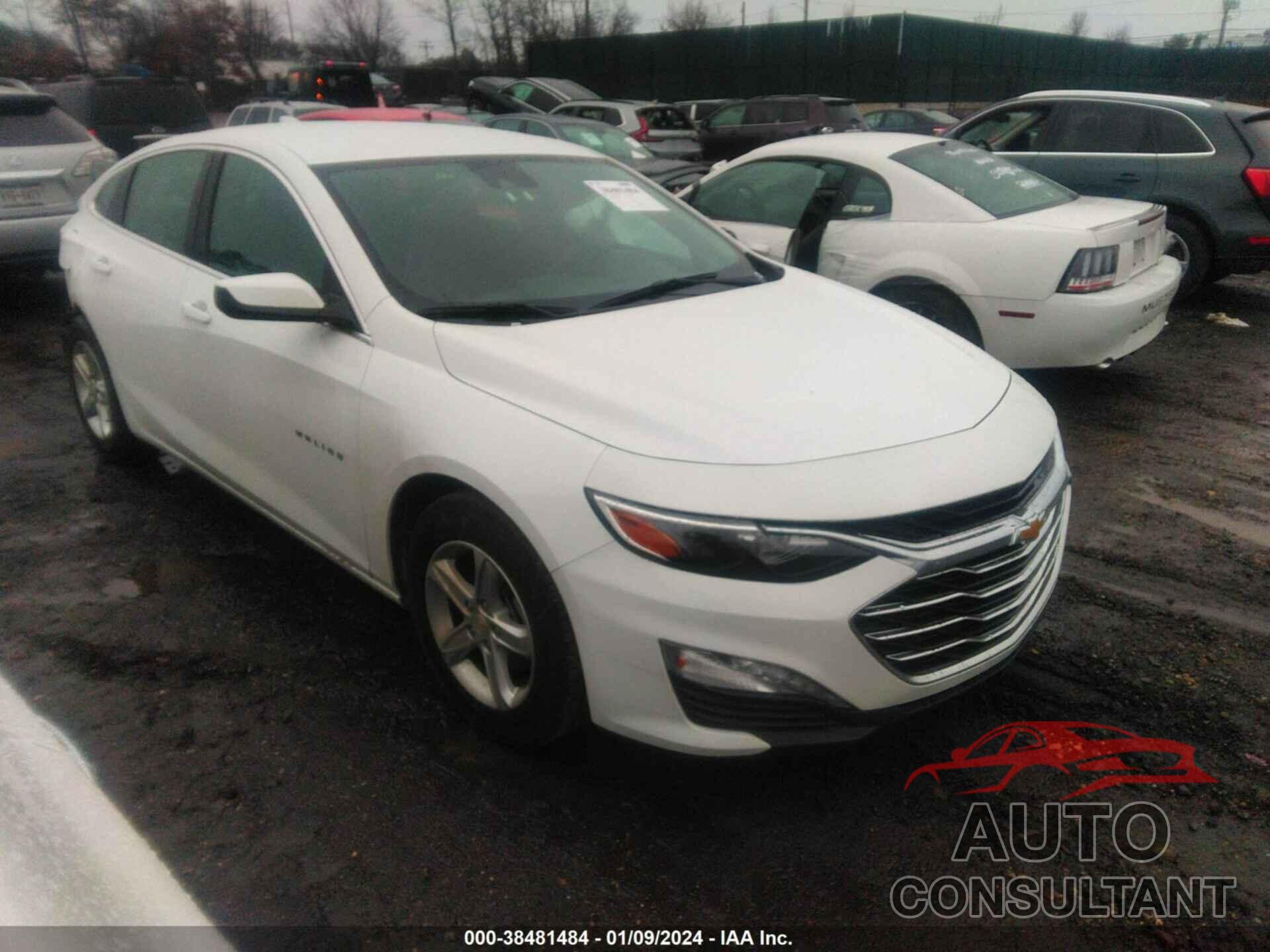 CHEVROLET MALIBU 2023 - 1G1ZD5ST3PF163063