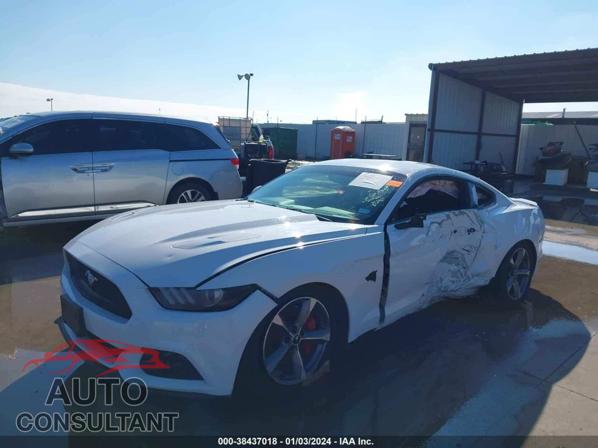 FORD MUSTANG 2017 - 1FA6P8CF2H5339934