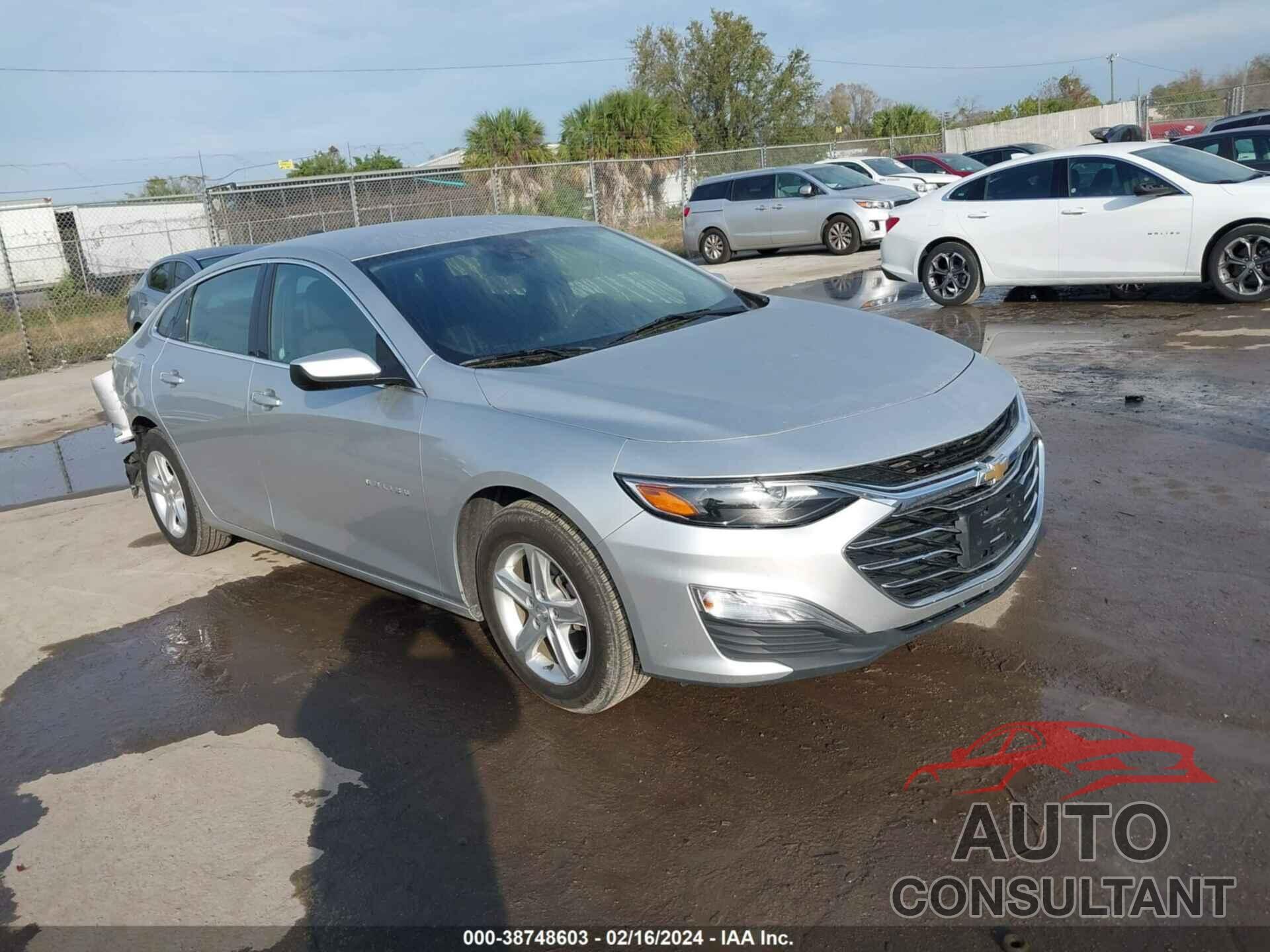 CHEVROLET MALIBU 2019 - 1G1ZC5ST6KF138668