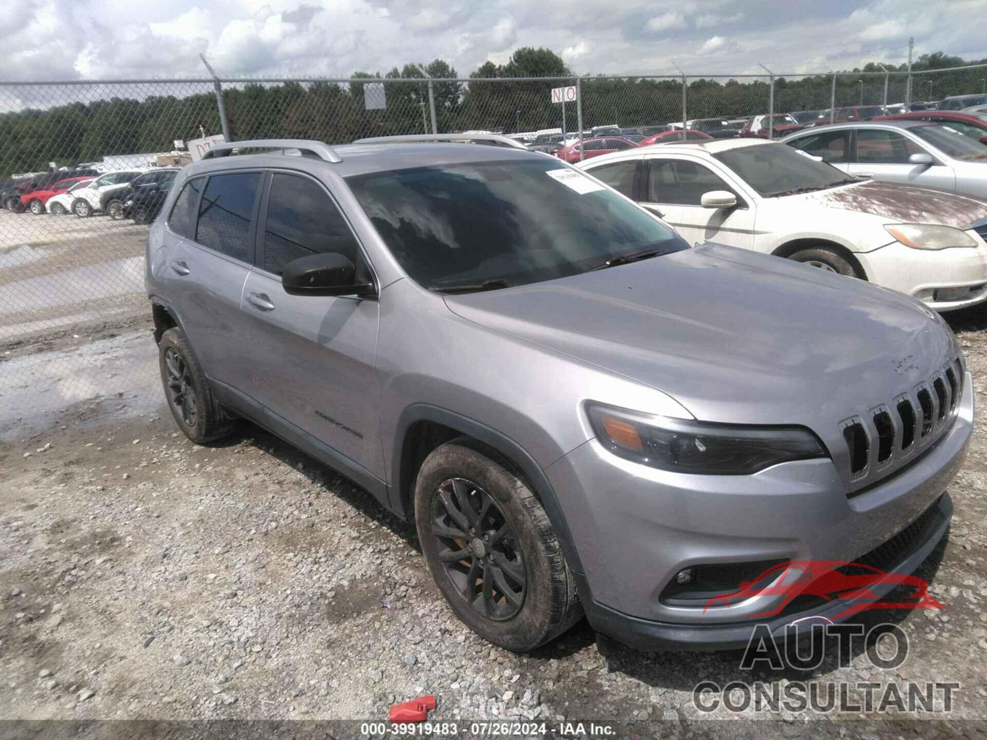 JEEP CHEROKEE 2019 - 1C4PJLLN0KD147483