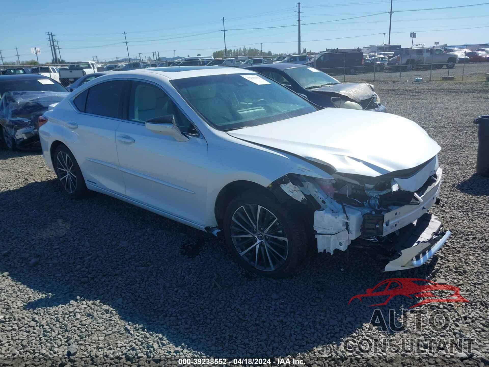 LEXUS ES 300H 2022 - 58ADA1C13NU025584