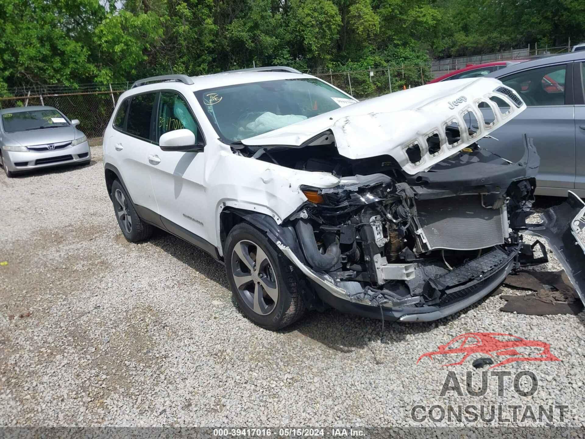 JEEP CHEROKEE 2019 - 1C4PJMDX4KD191217