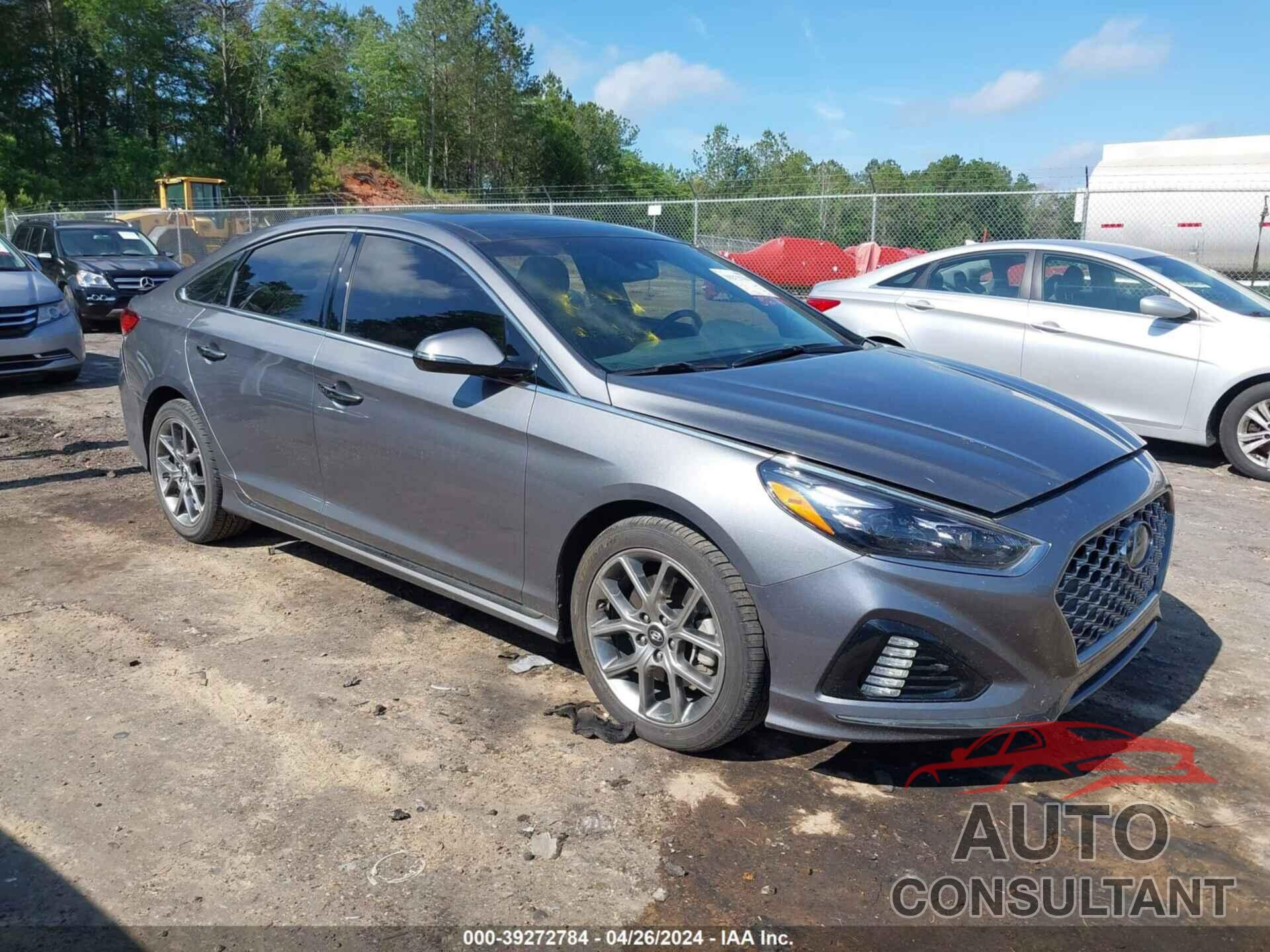 HYUNDAI SONATA 2019 - 5NPE34AB6KH803129