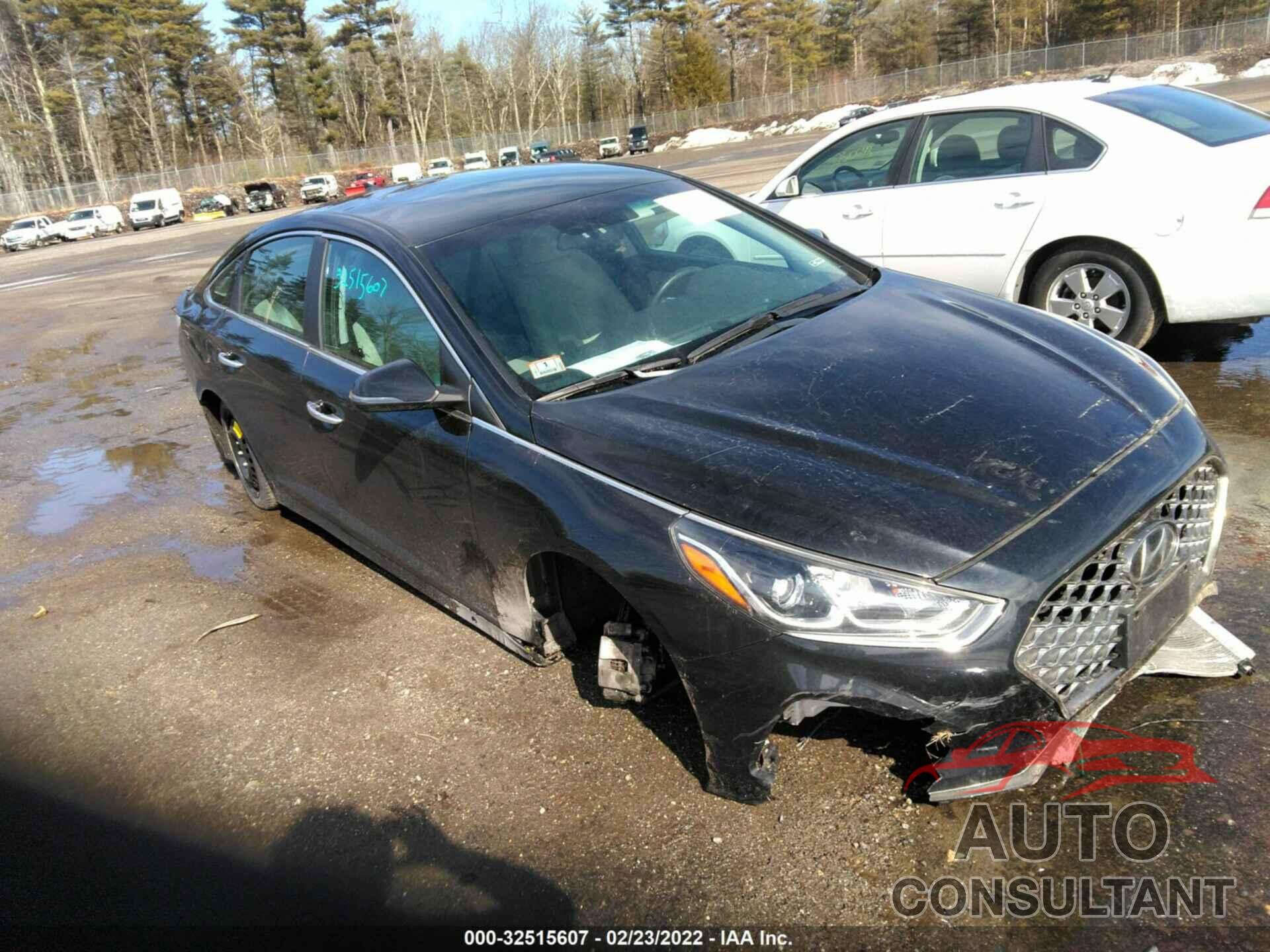 HYUNDAI SONATA 2019 - 5NPE34AF1KH772925
