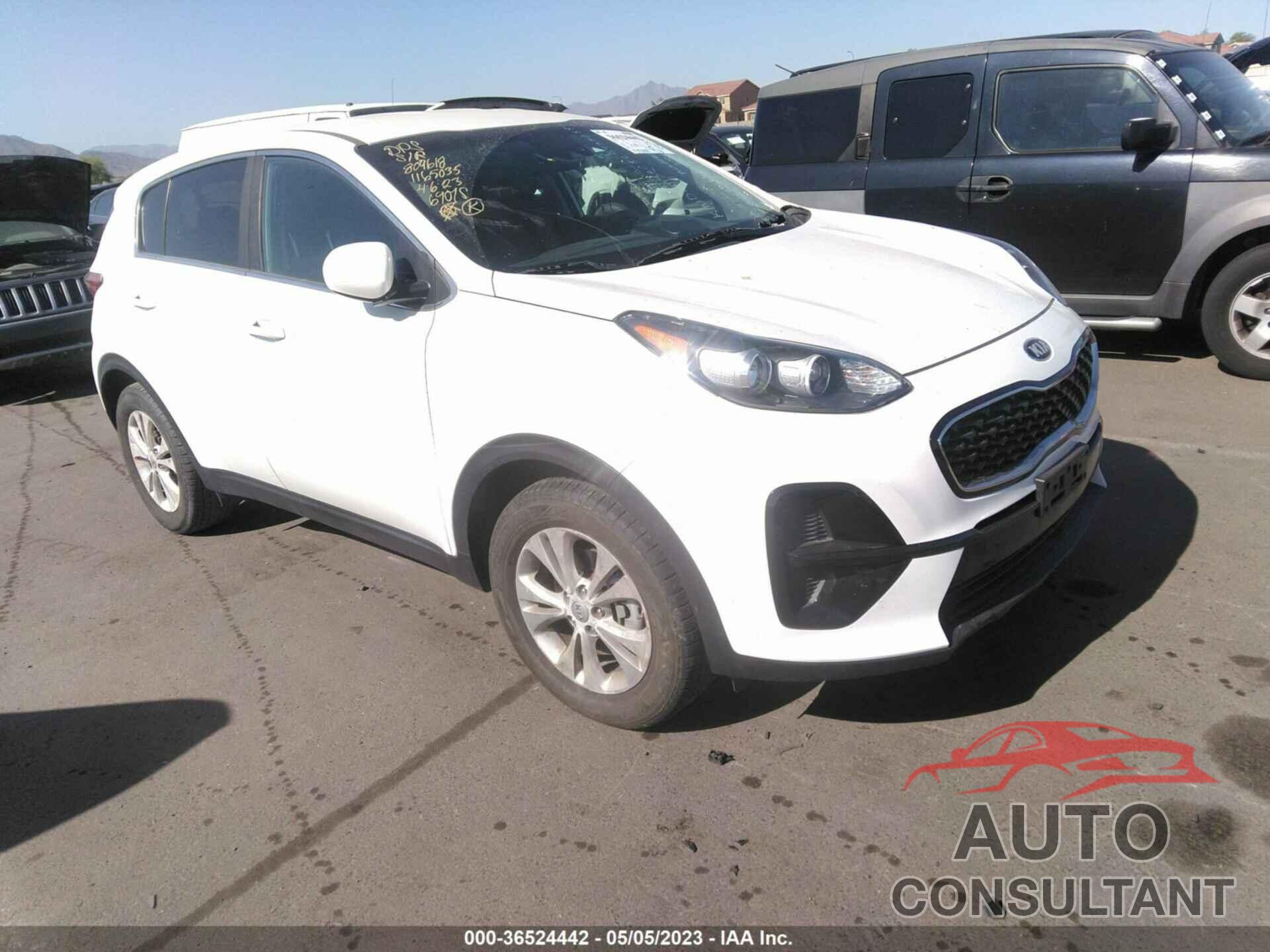 KIA SPORTAGE 2020 - KNDPM3AC5L7733055