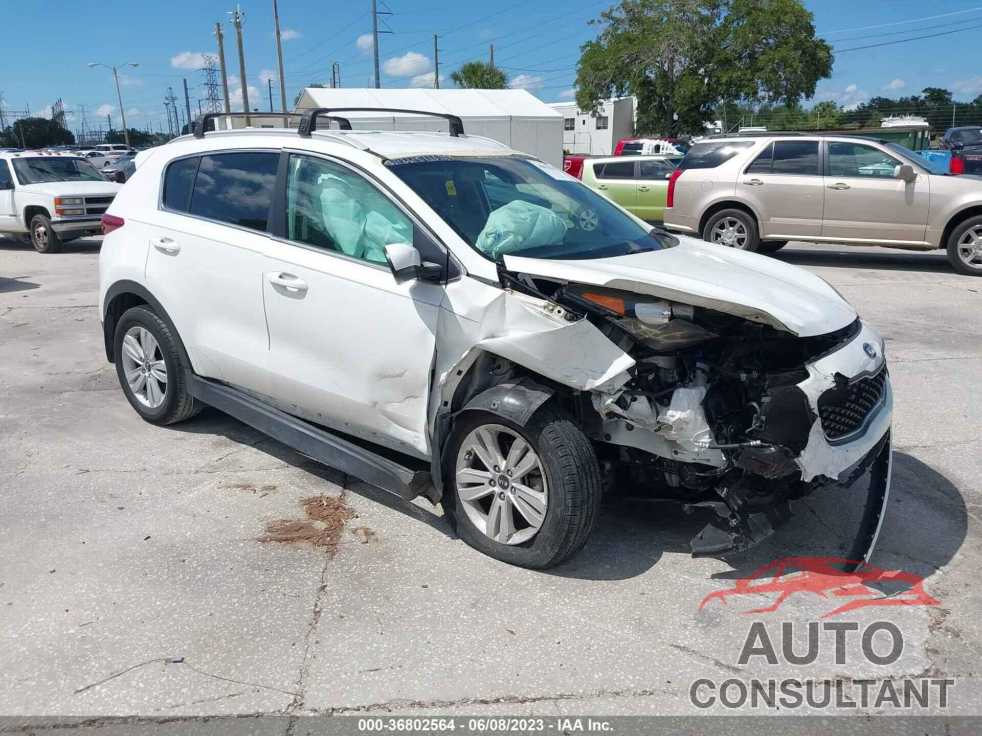 KIA SPORTAGE 2019 - KNDPM3AC6K7561486